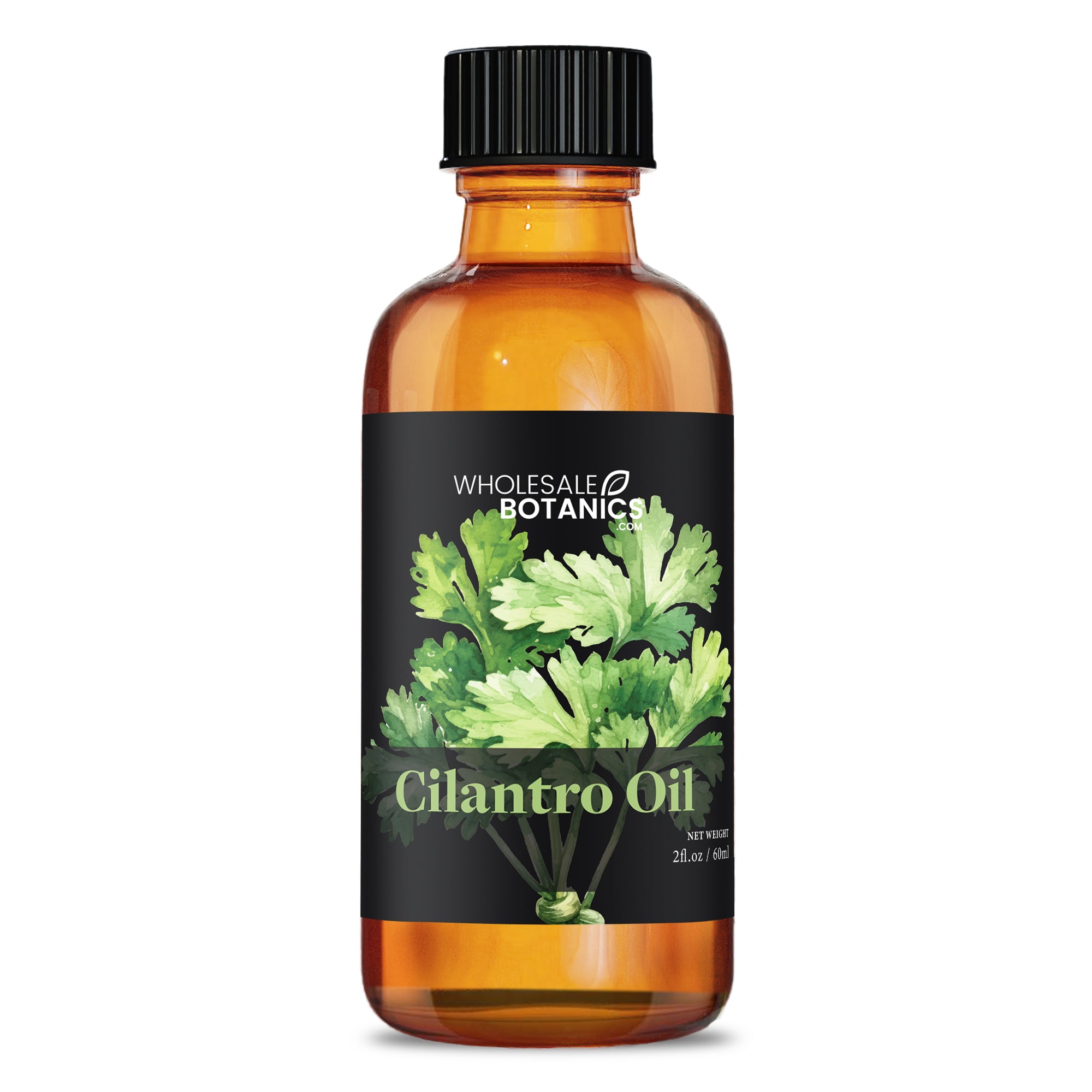 Cilantro Oil