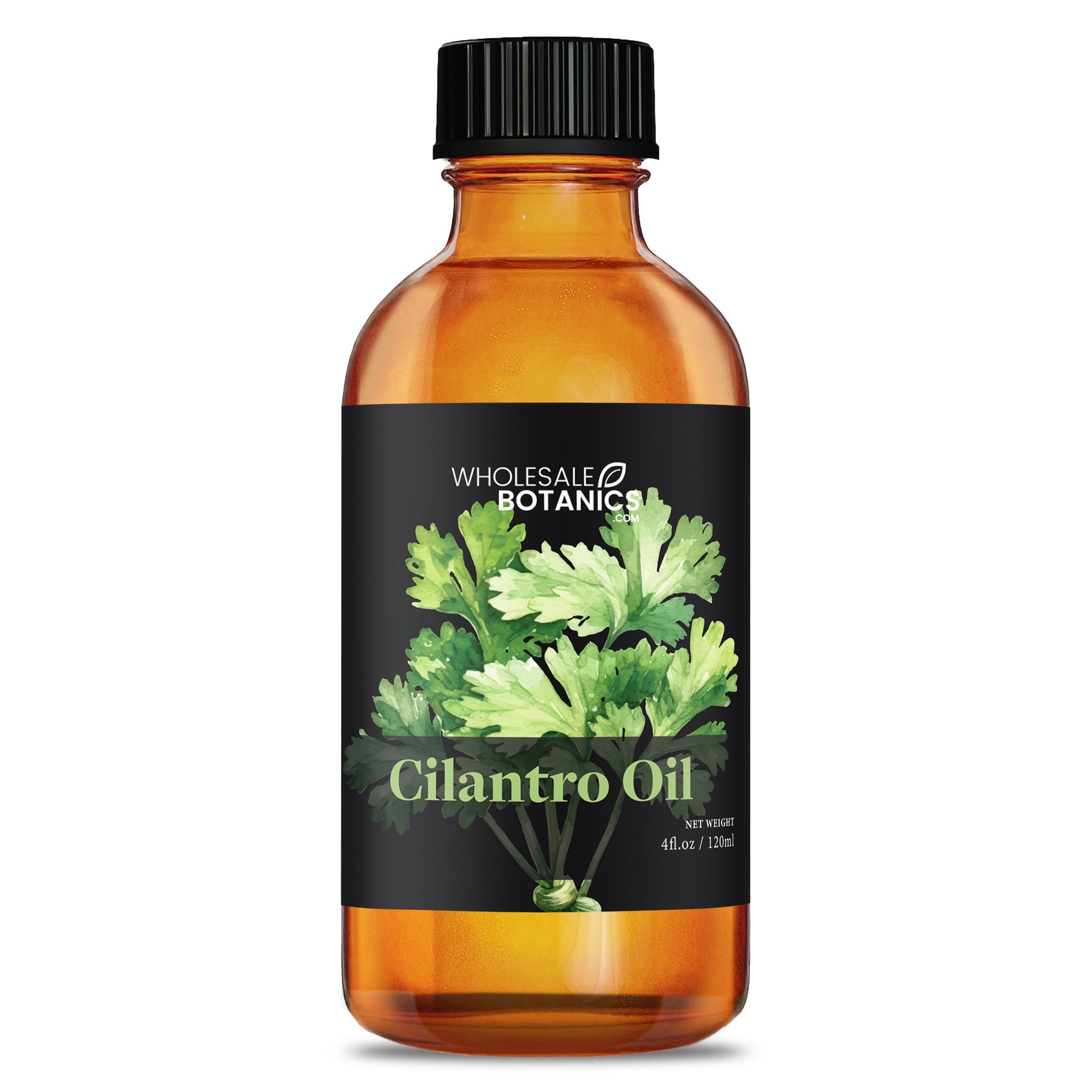 Cilantro Oil