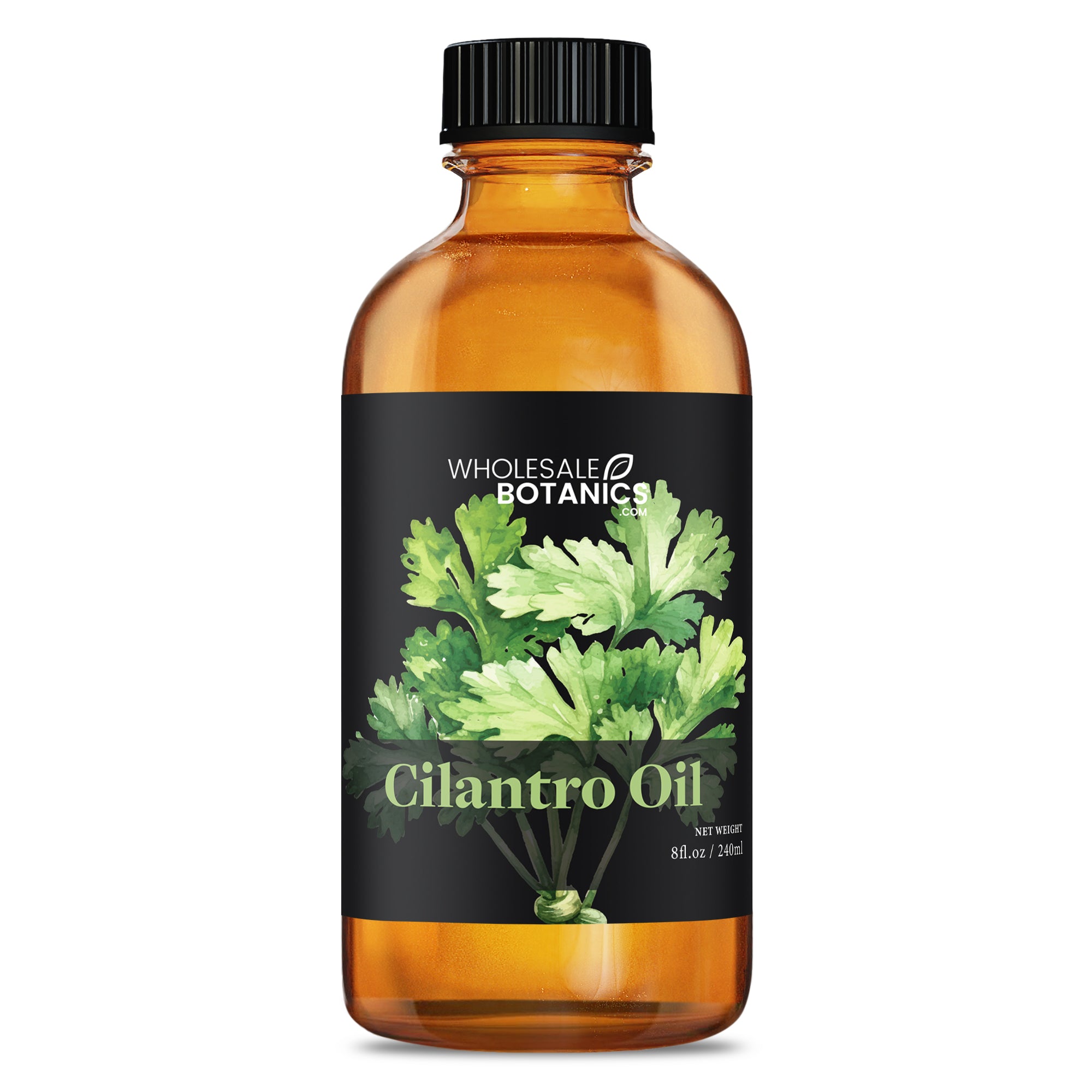 Cilantro Oil