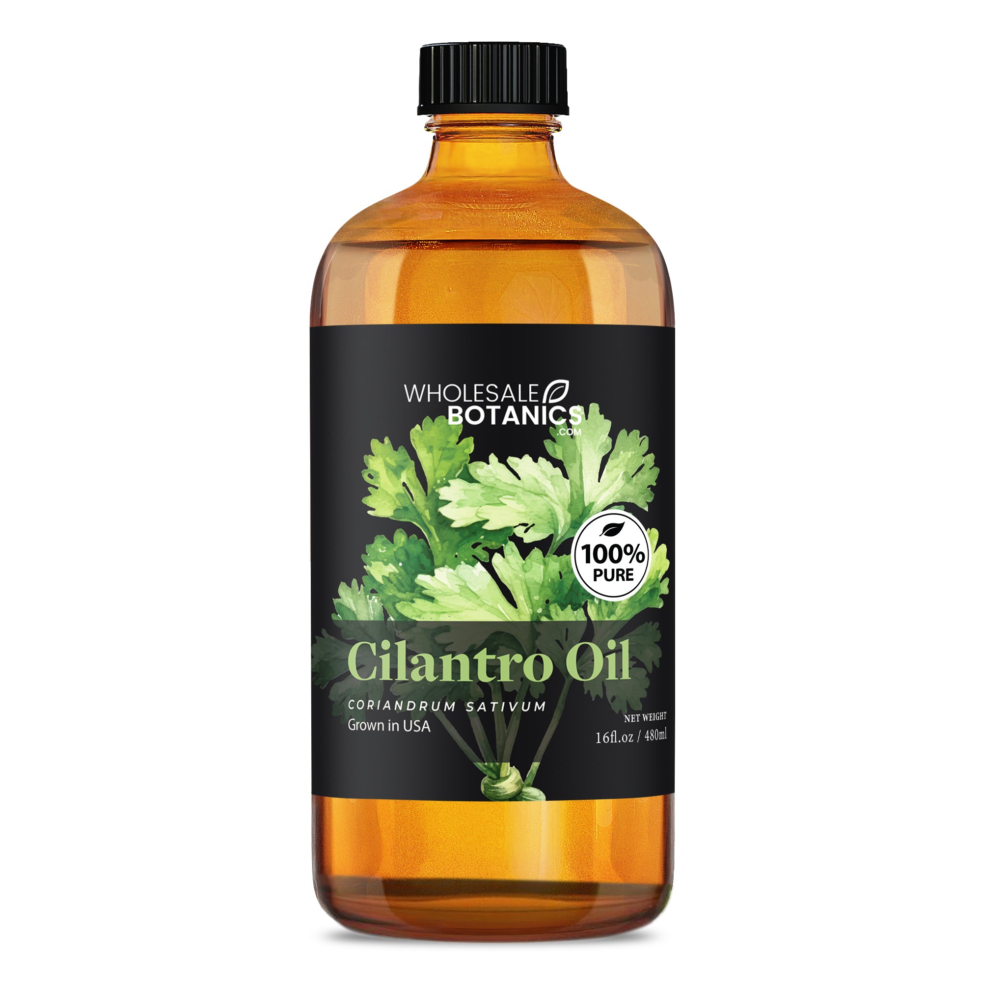 Cilantro Oil