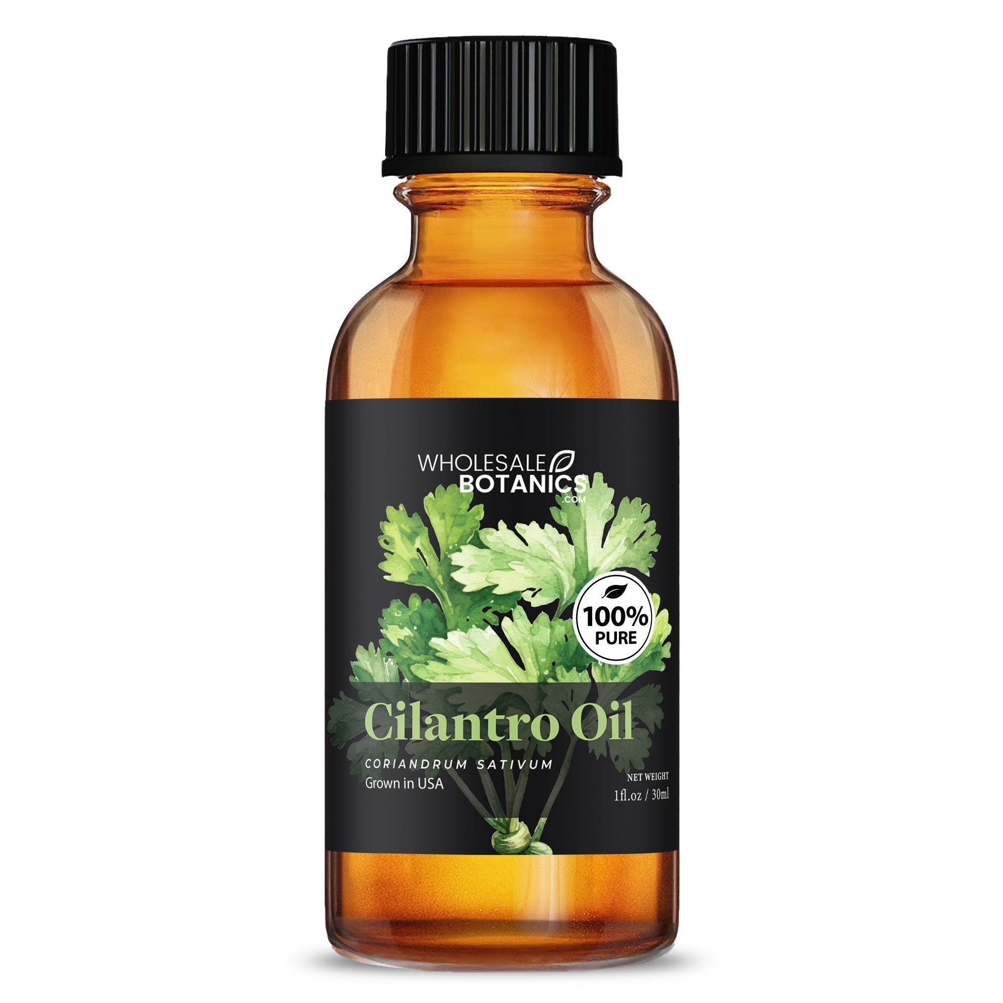 Cilantro Oil