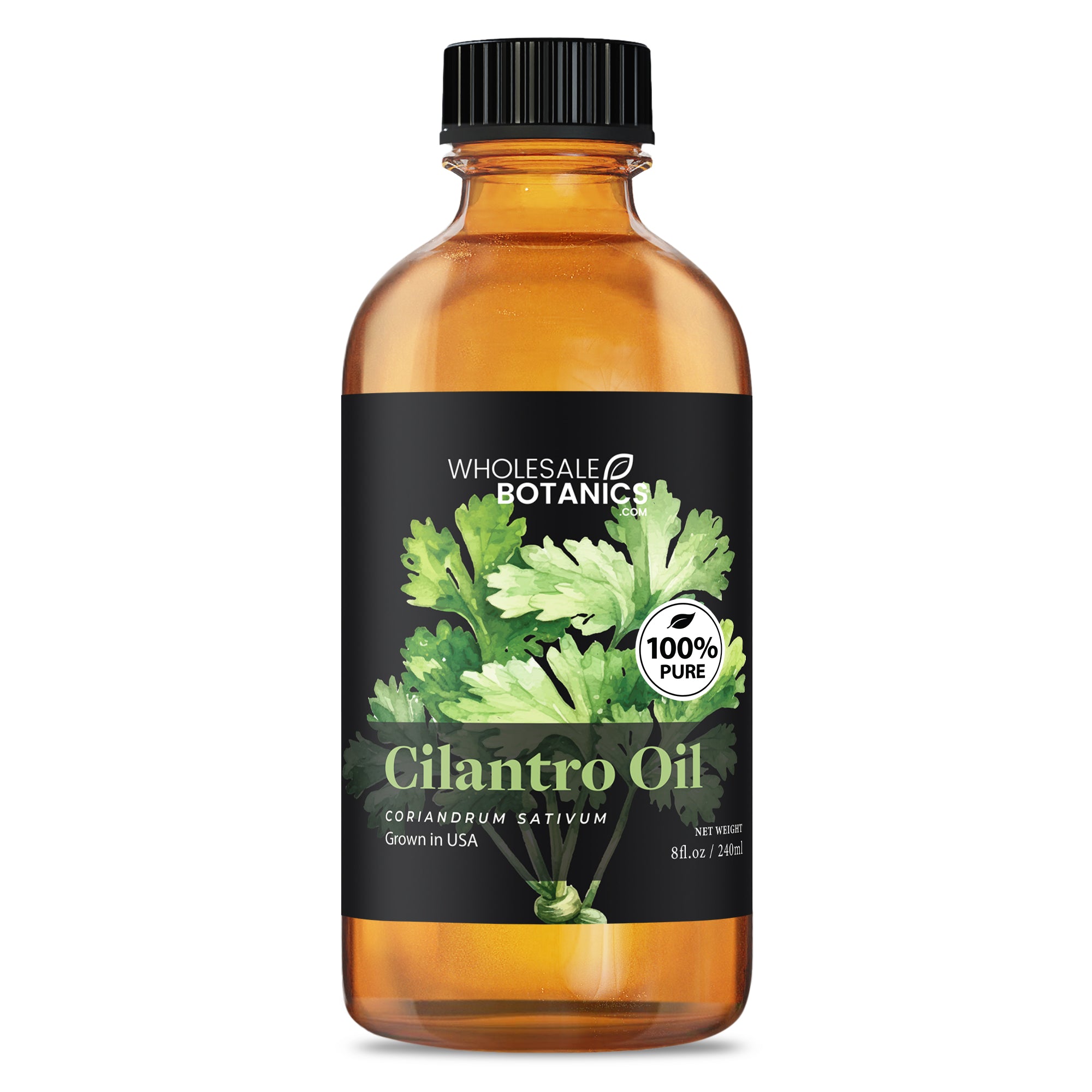 Cilantro Oil