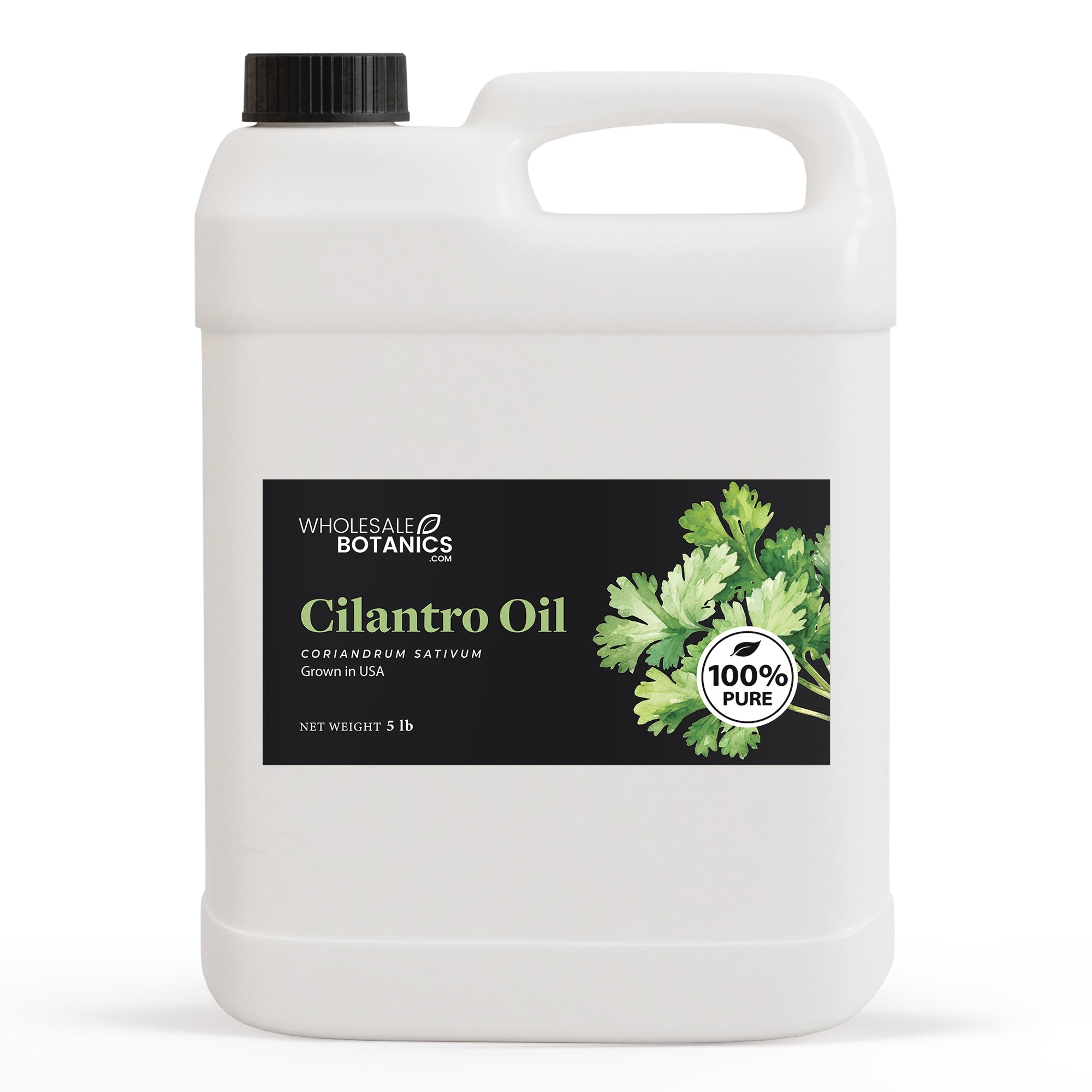 Cilantro Oil