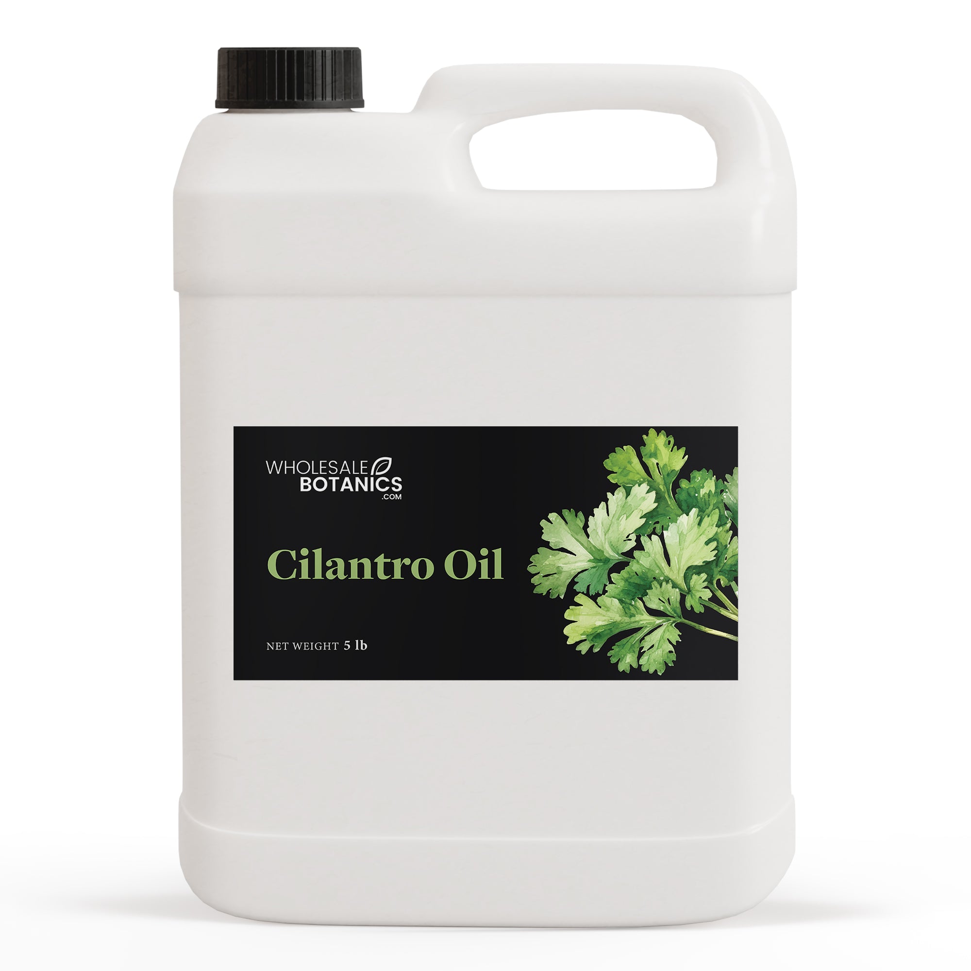 Cilantro Oil