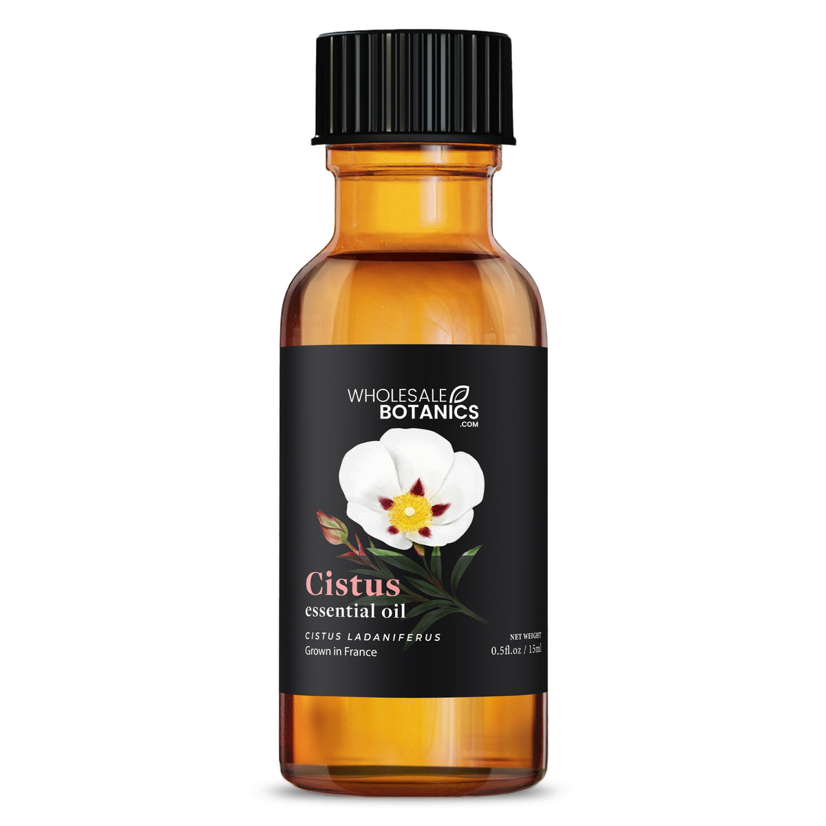 Cistus Essential Oil — Wholesale Botanics