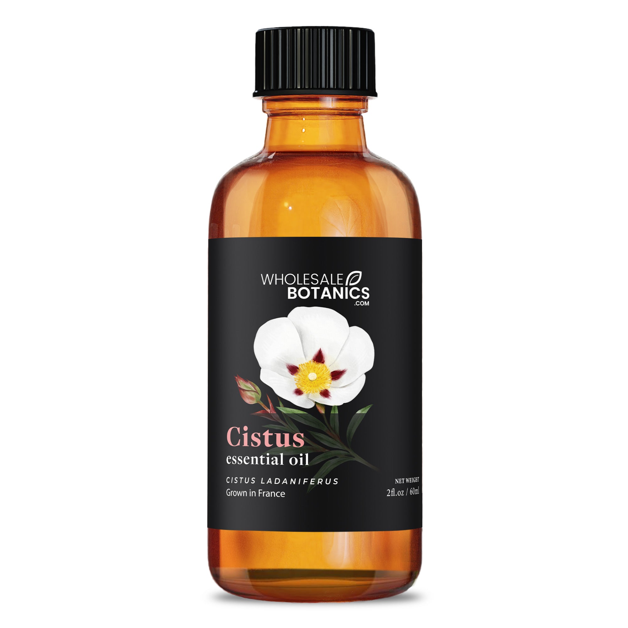Cistus Essential Oil — Wholesale Botanics