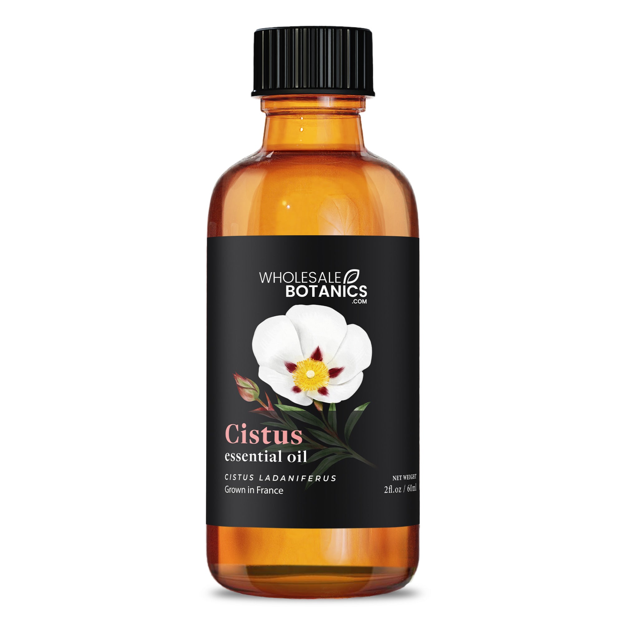 Cistus Essential Oil