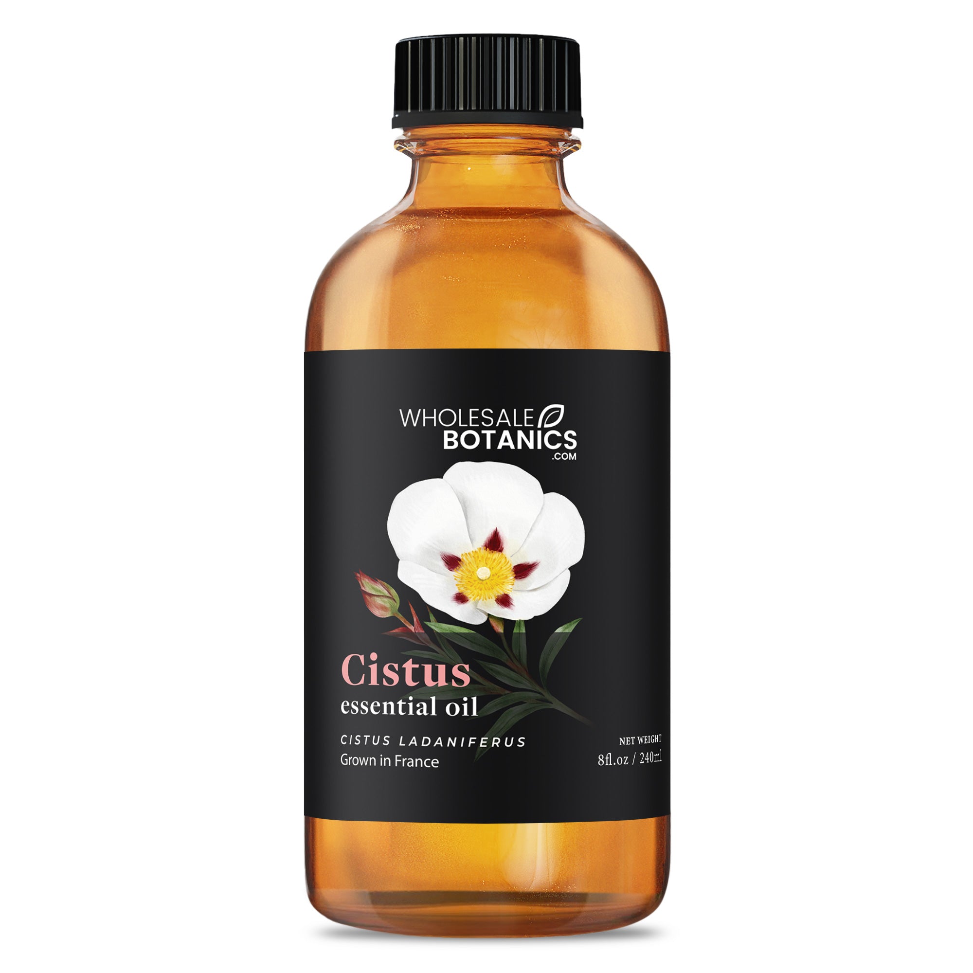 Cistus Essential Oil — Wholesale Botanics