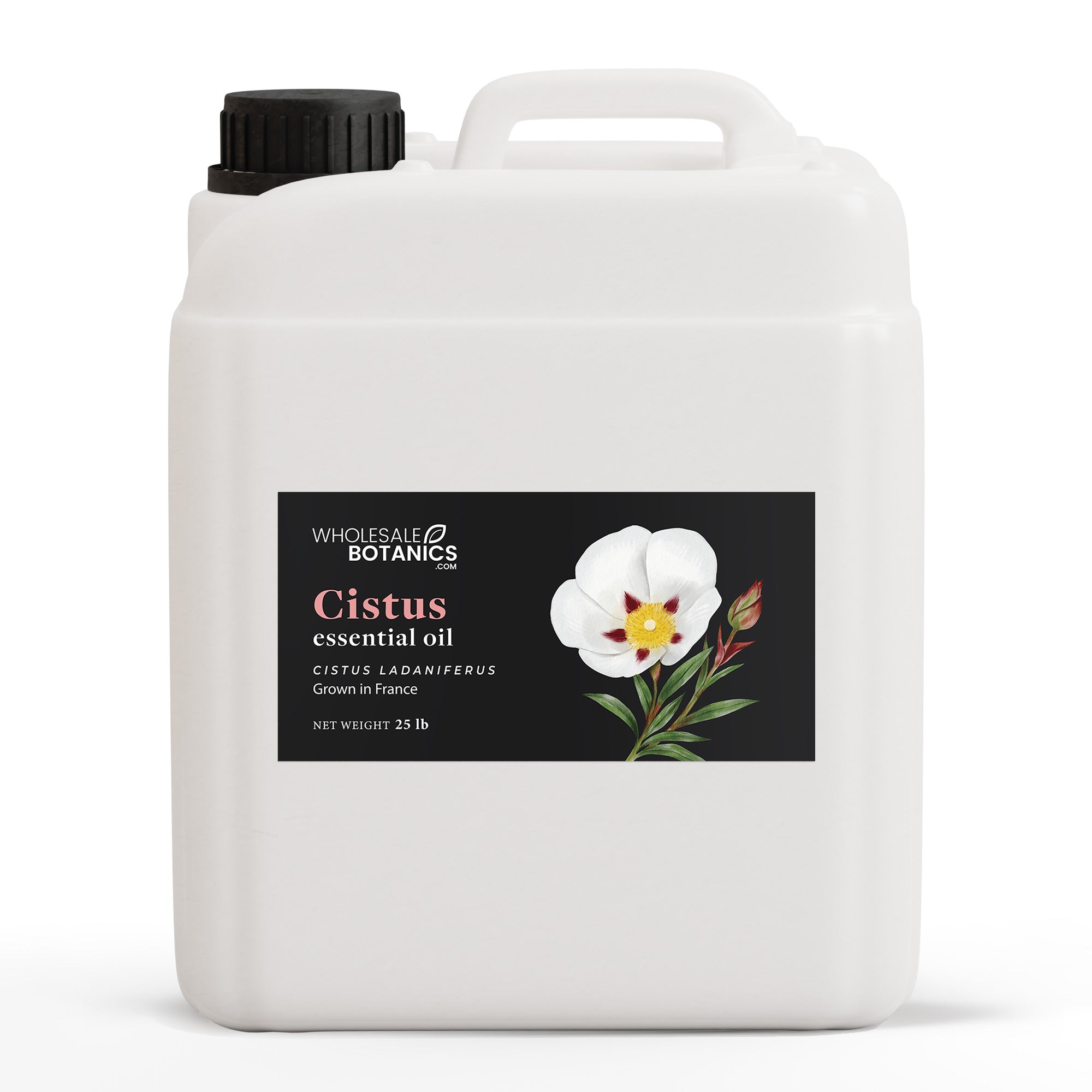 Cistus Essential Oil — Wholesale Botanics
