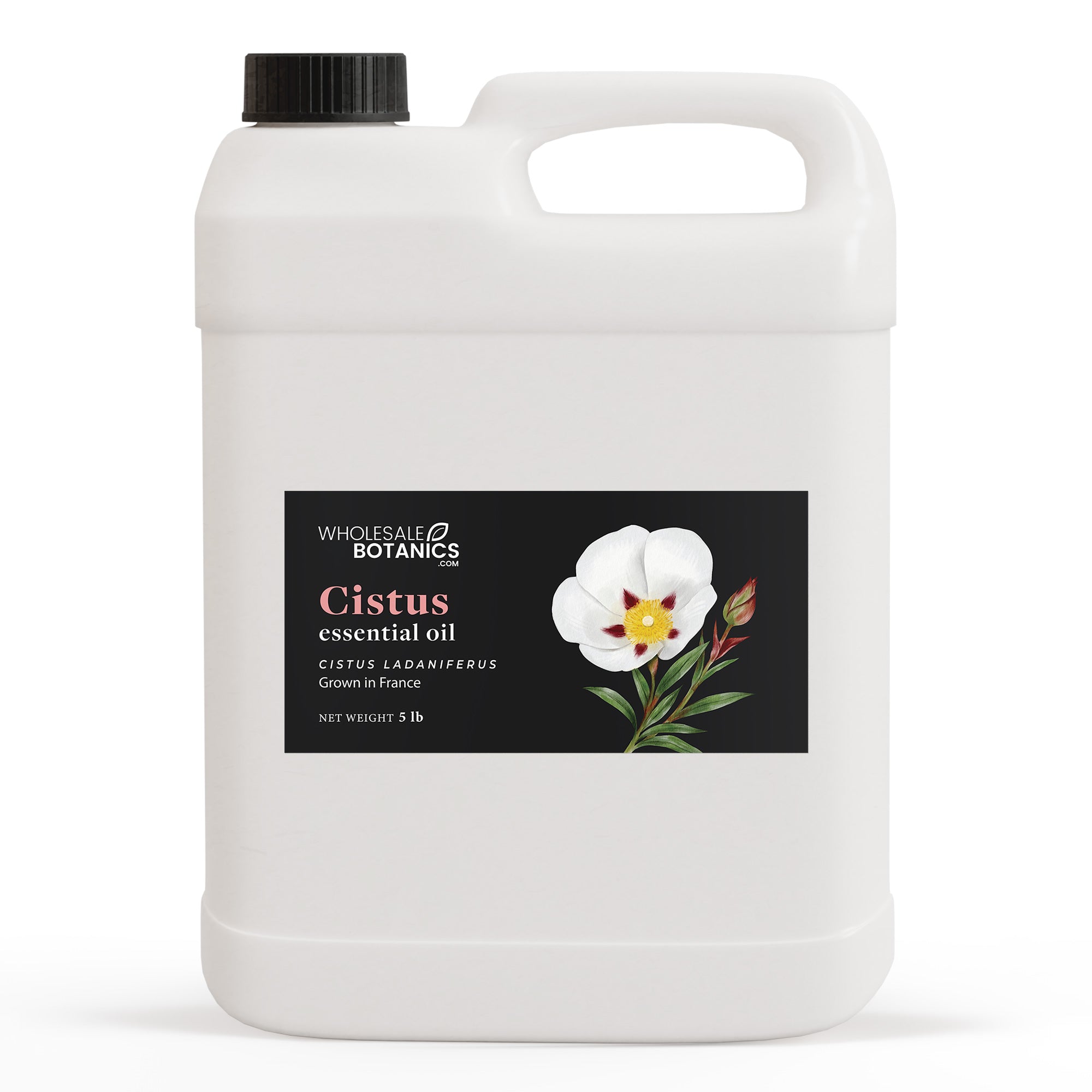 Cistus Essential Oil — Wholesale Botanics