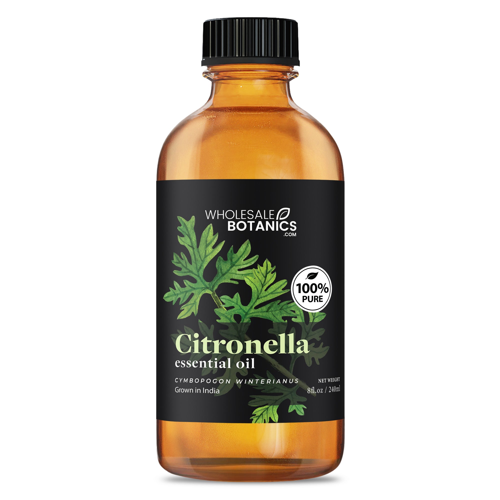 Citronella essential oil India - 8 oz