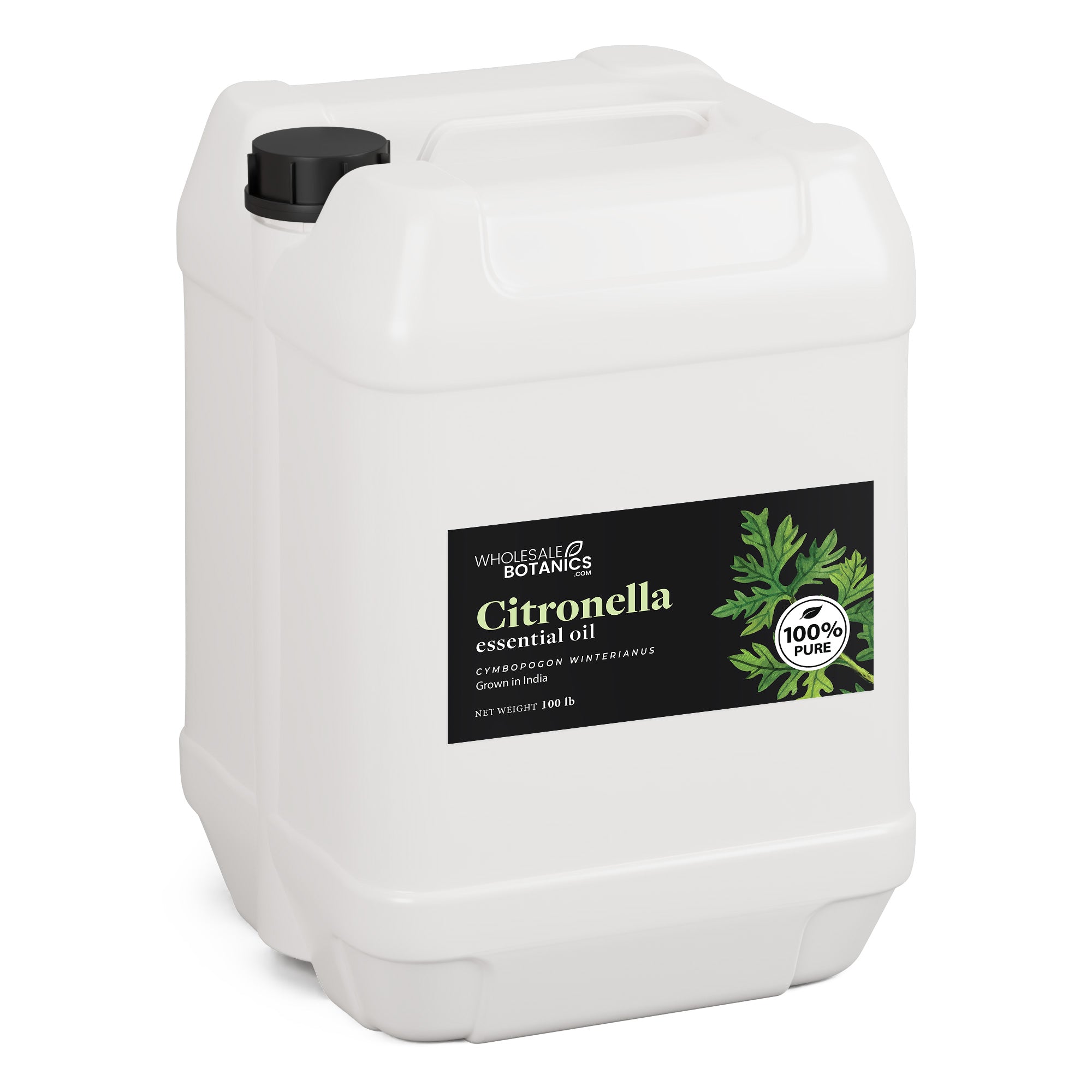 Citronella essential oil India - 100 lb