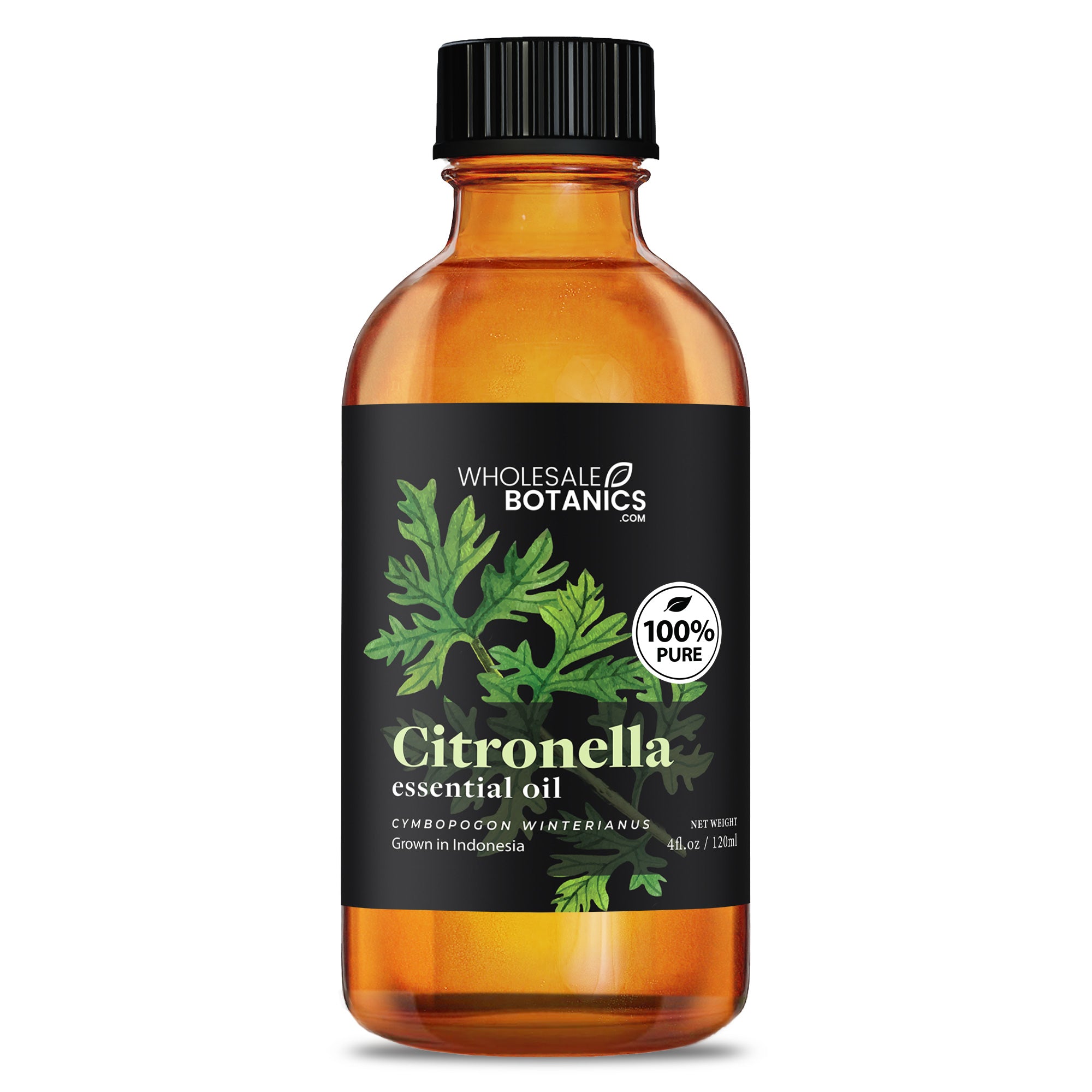 Citronella essential oil Indonesia - 4 oz