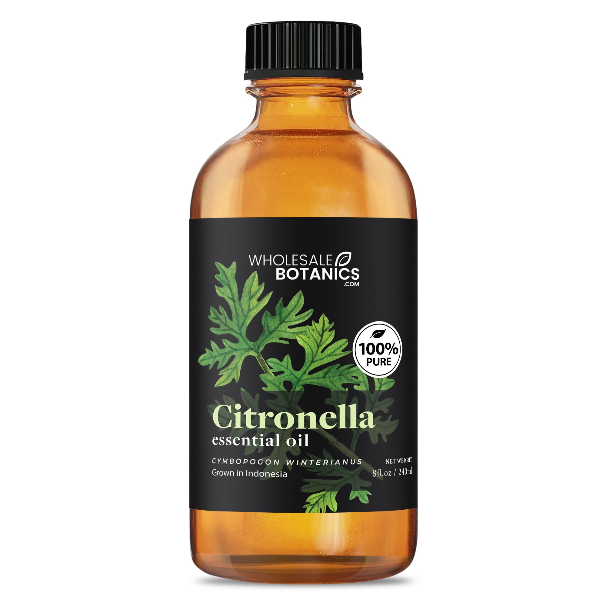 Citronella essential oil Indonesia - 8 oz