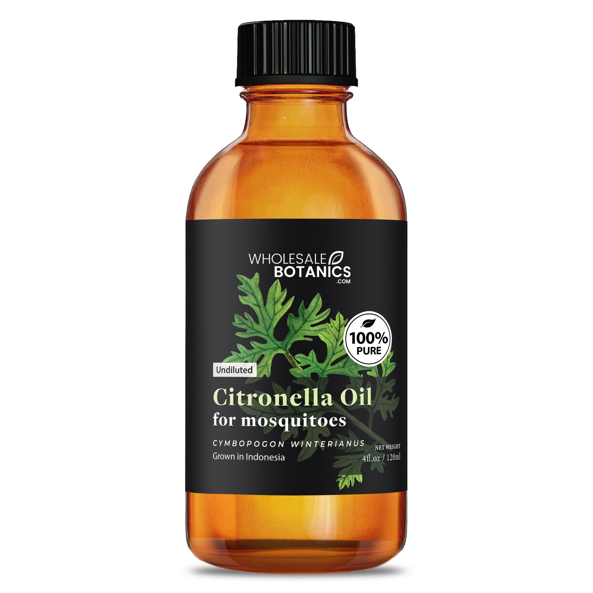 Citronella Oil for Mosquitoes - Mix with Carrier Oil