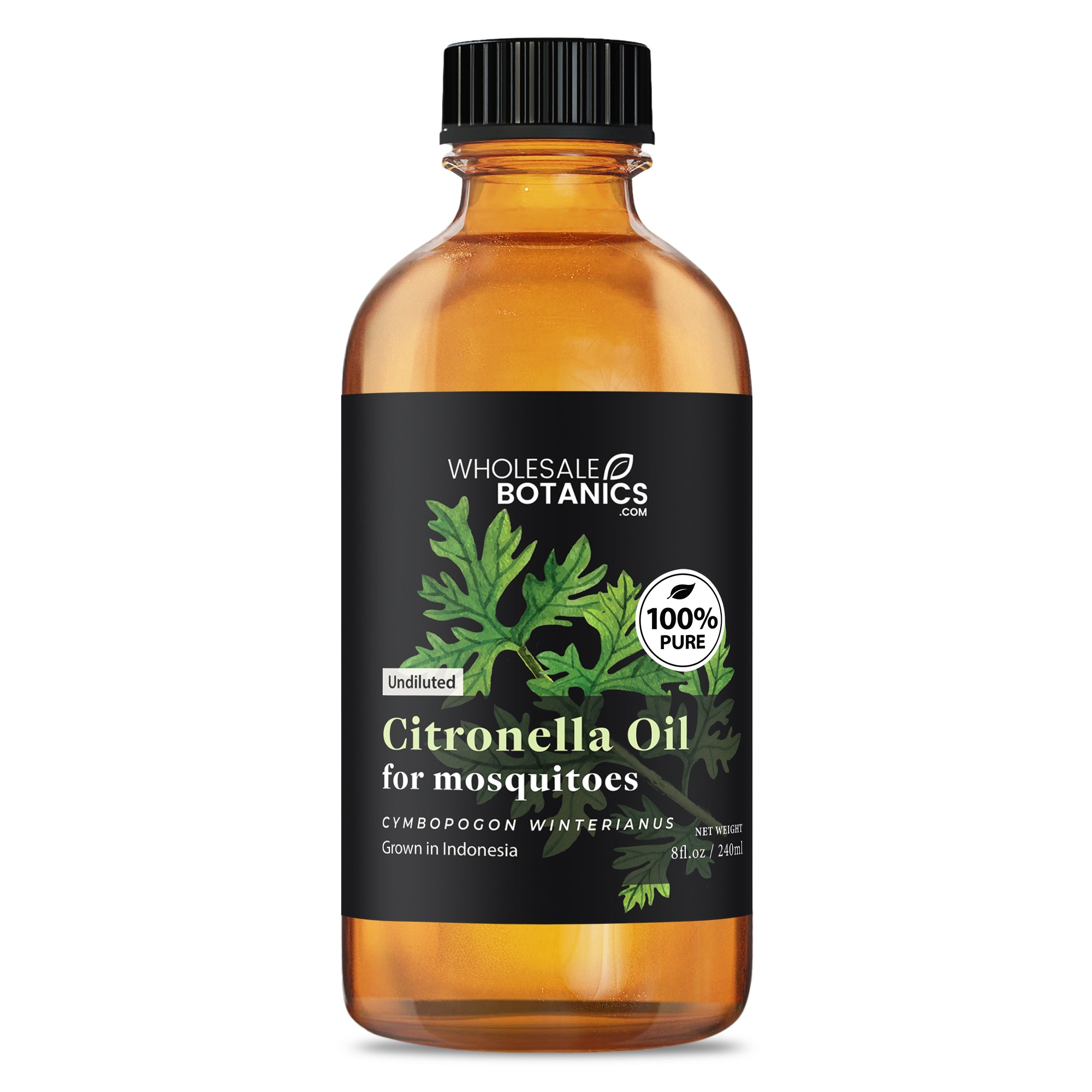 Citronella Oil for Mosquitoes - Mix with Carrier Oil