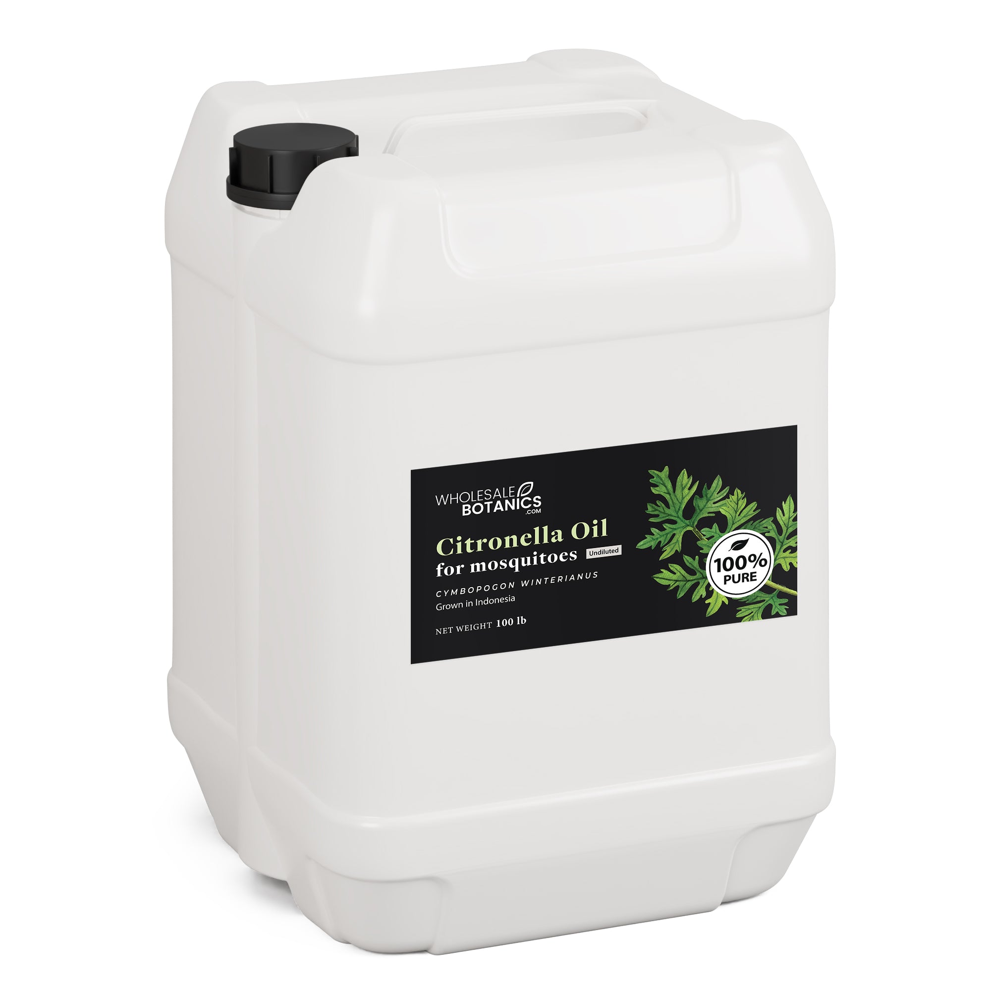 Citronella Oil for Mosquitoes - Mix with Carrier Oil