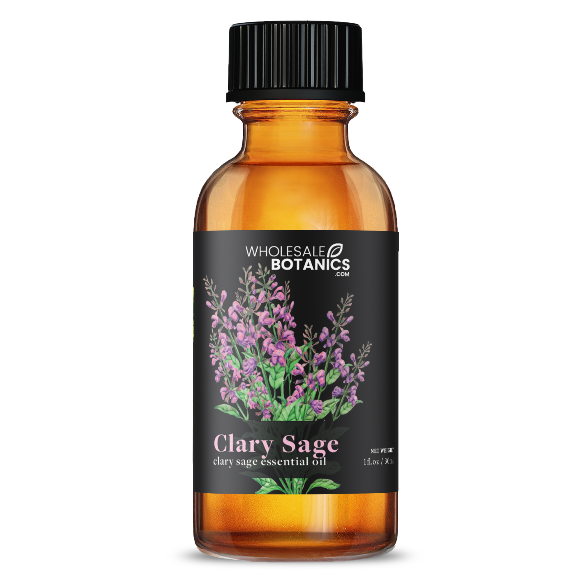 Clary Sage Essential Oil - Botanical