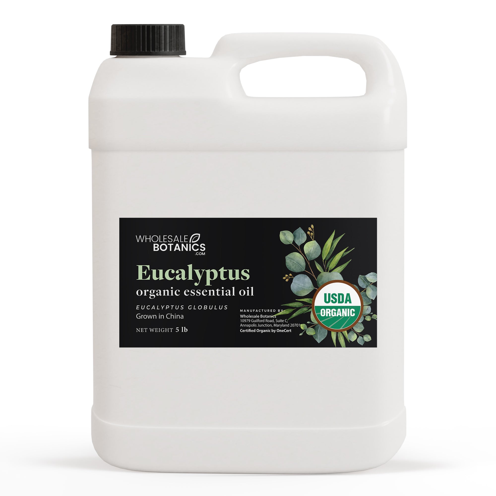 Organic Eucalyptus Essential Oil