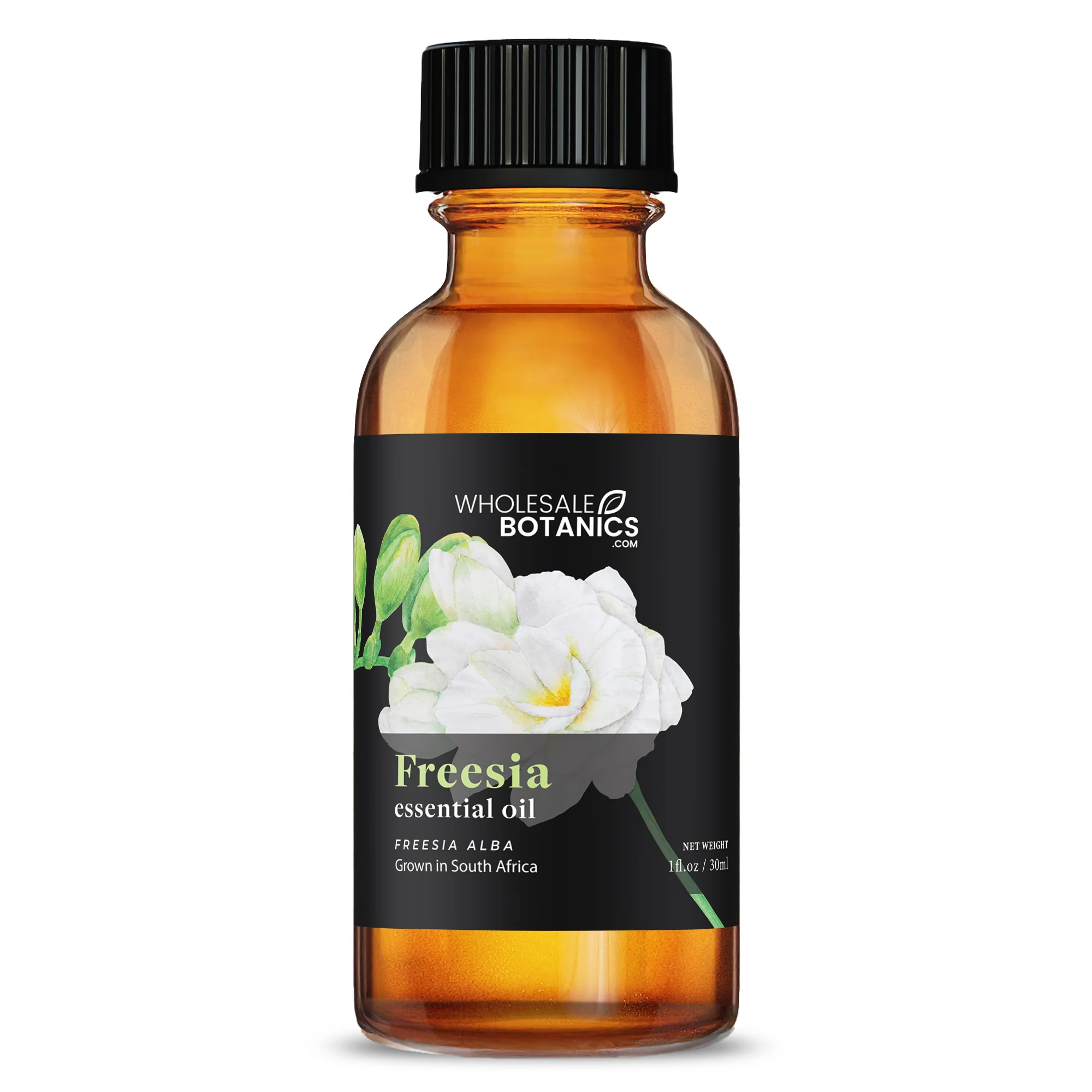 Botanical Essential Oil Bundle