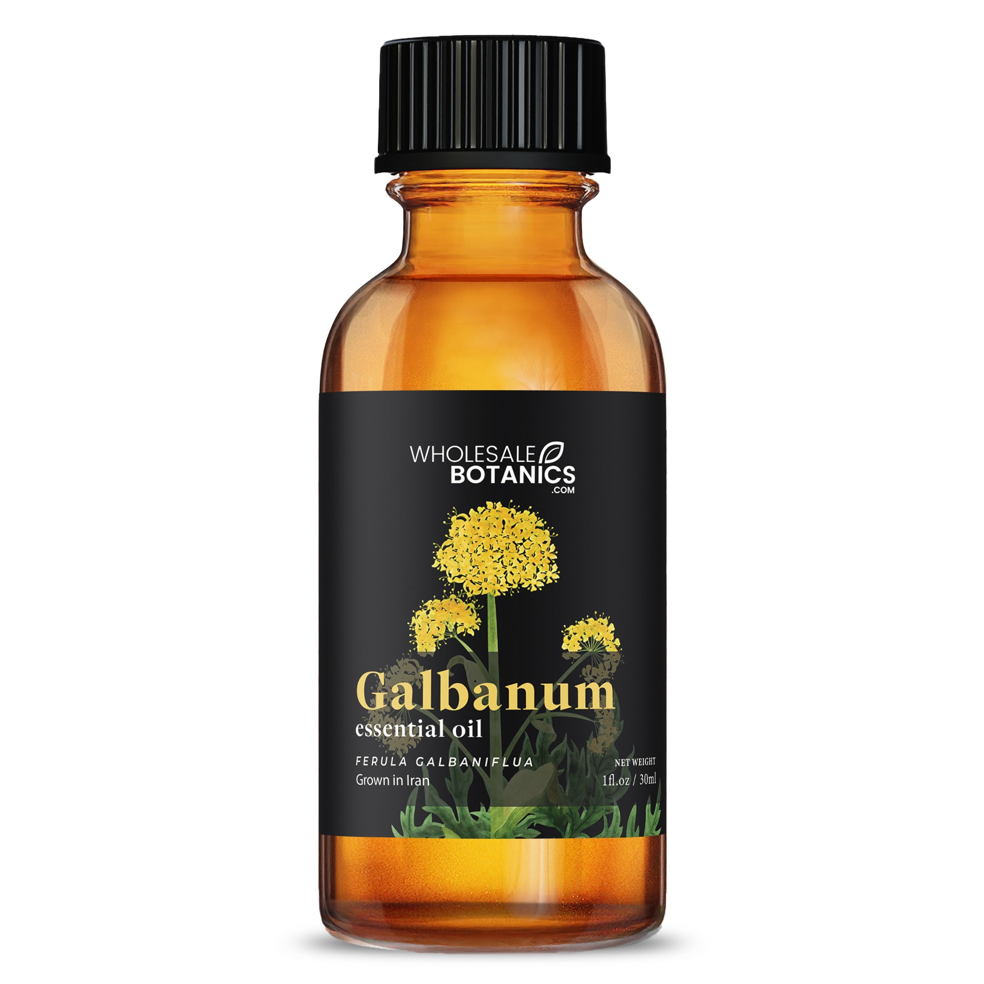 Galbanum Essential Oil