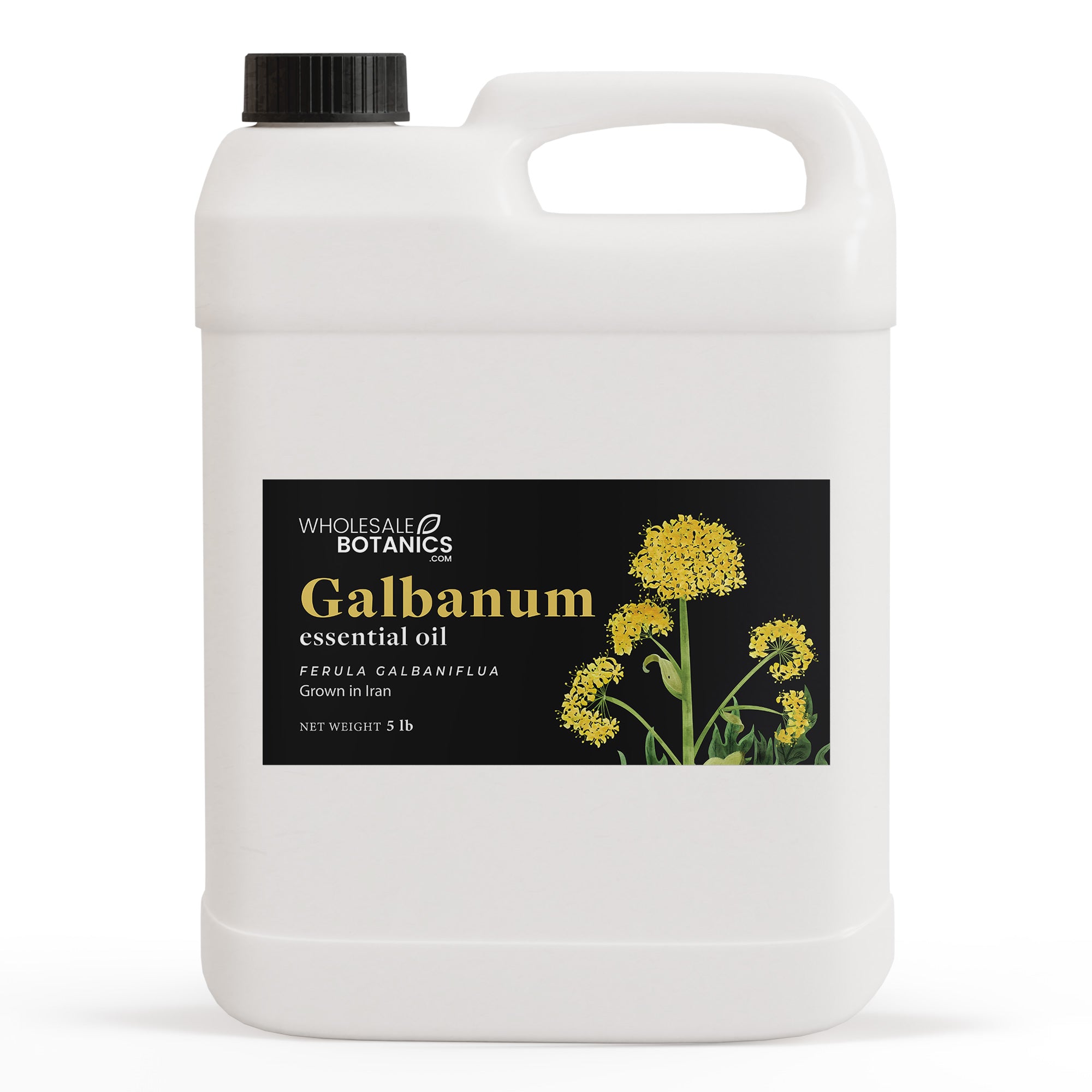 Galbanum Essential Oil