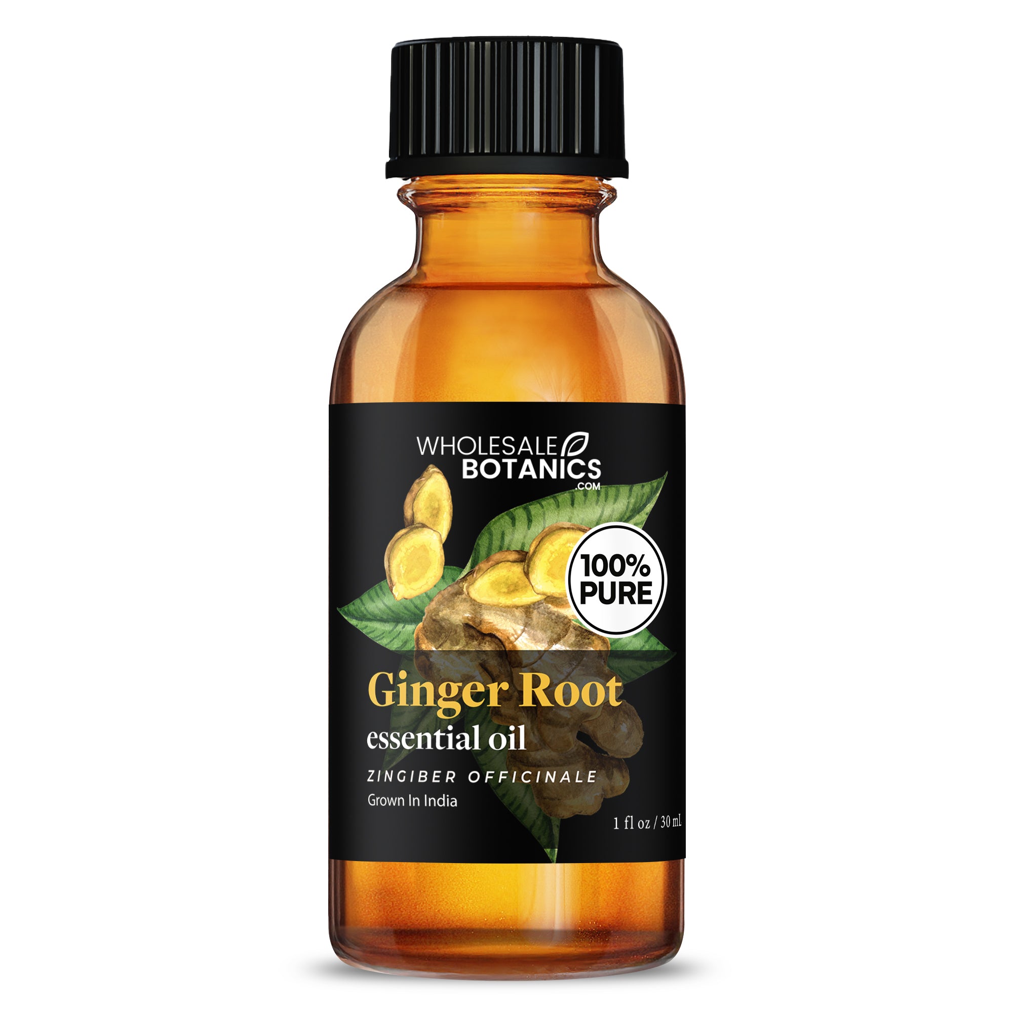 Ginger Root Essential Oil