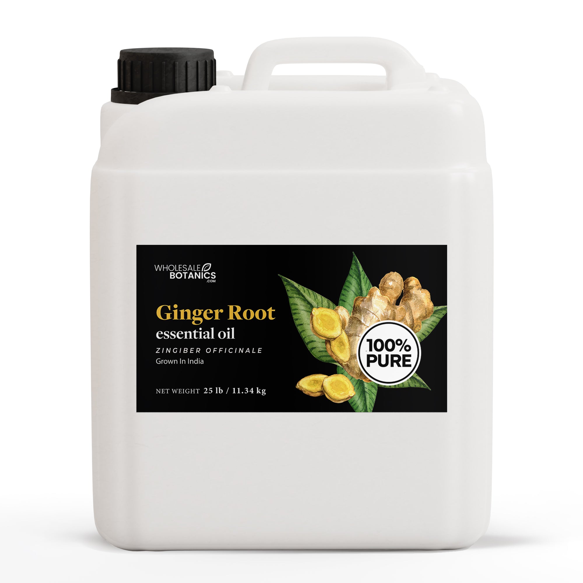 Ginger Root Essential Oil
