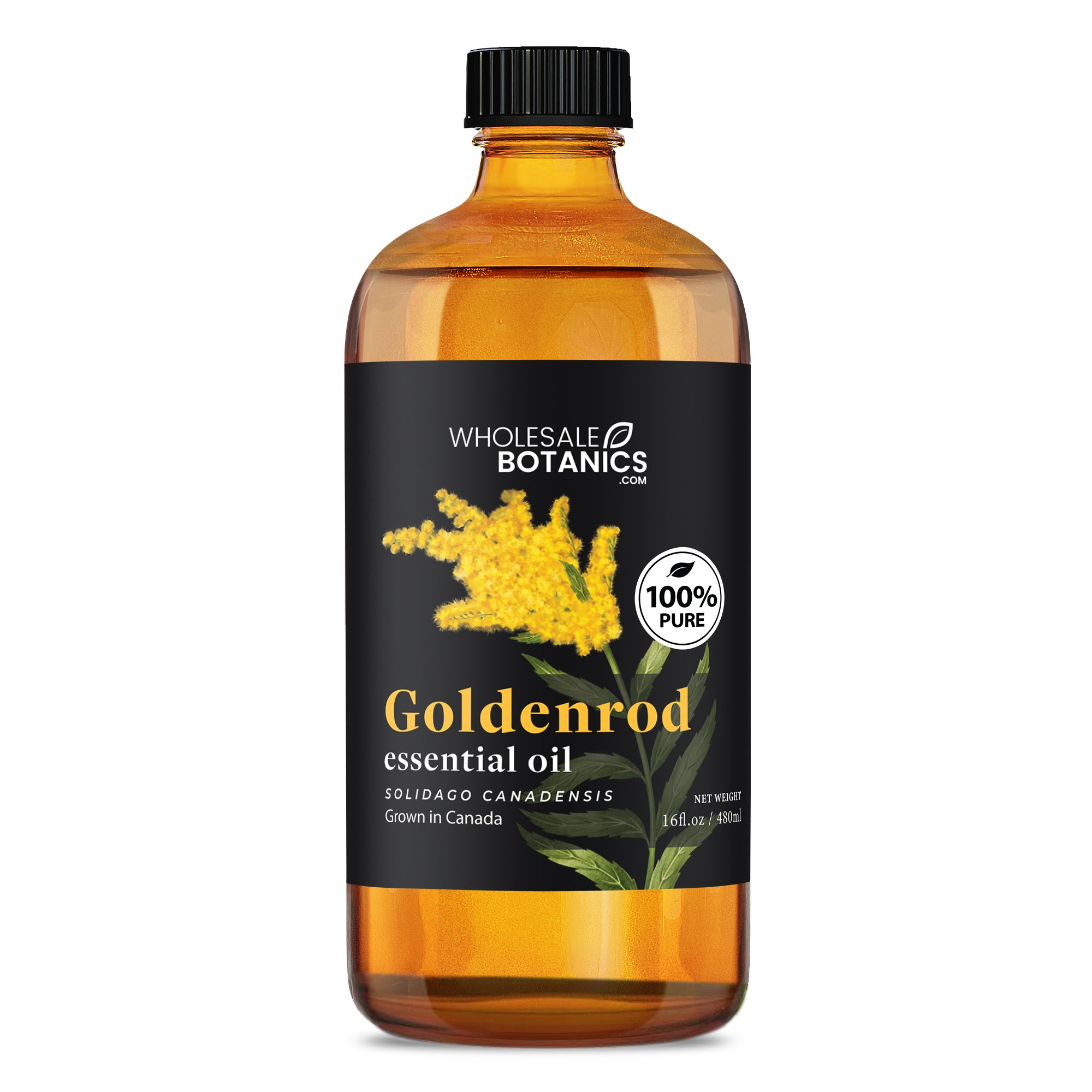 Goldenrod Essential Oil