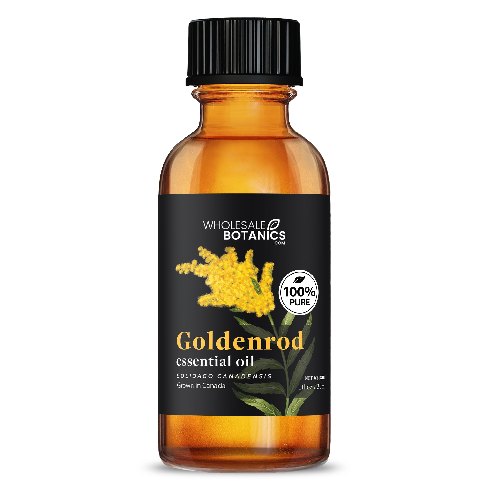 Goldenrod Essential Oil