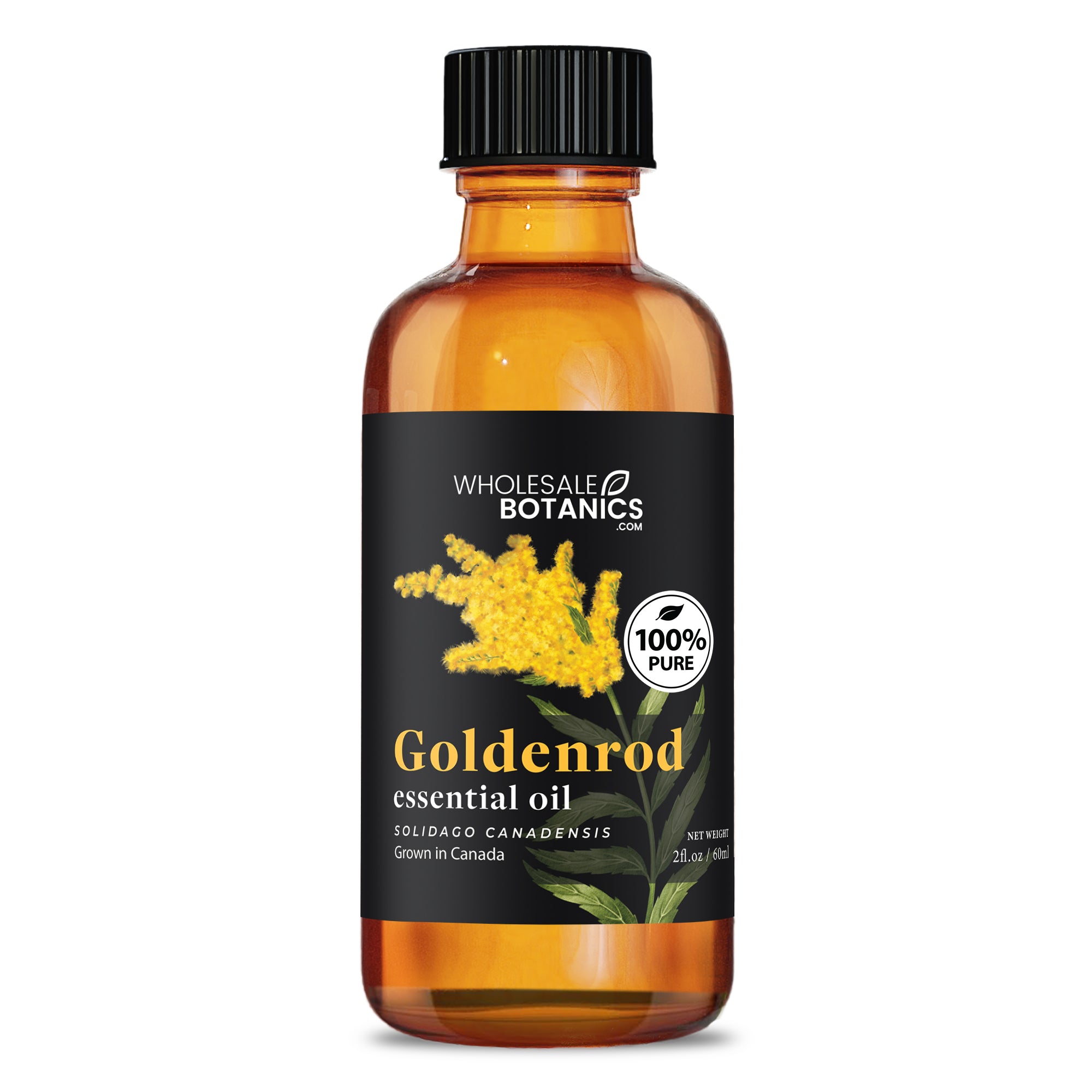 Goldenrod Essential Oil
