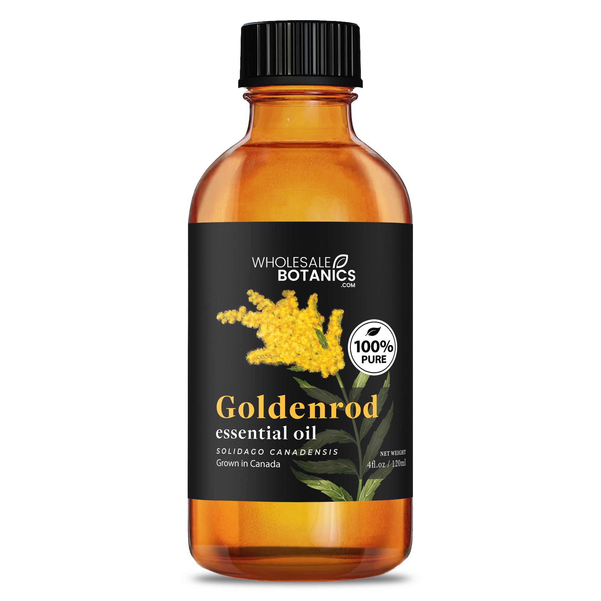 Goldenrod Essential Oil