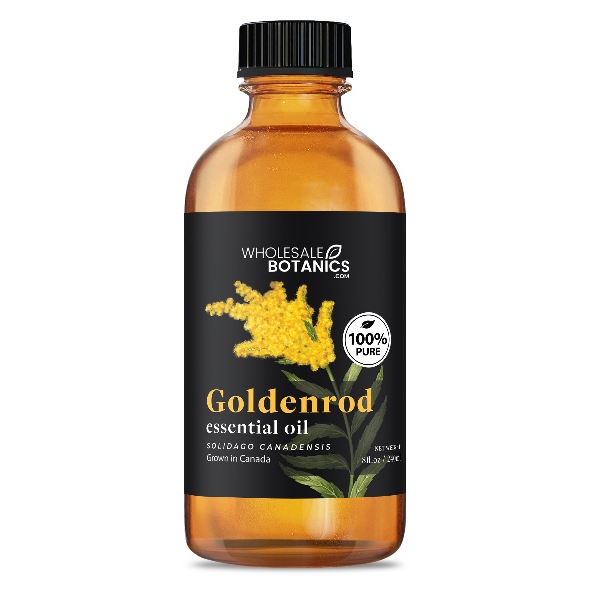 Goldenrod Essential Oil