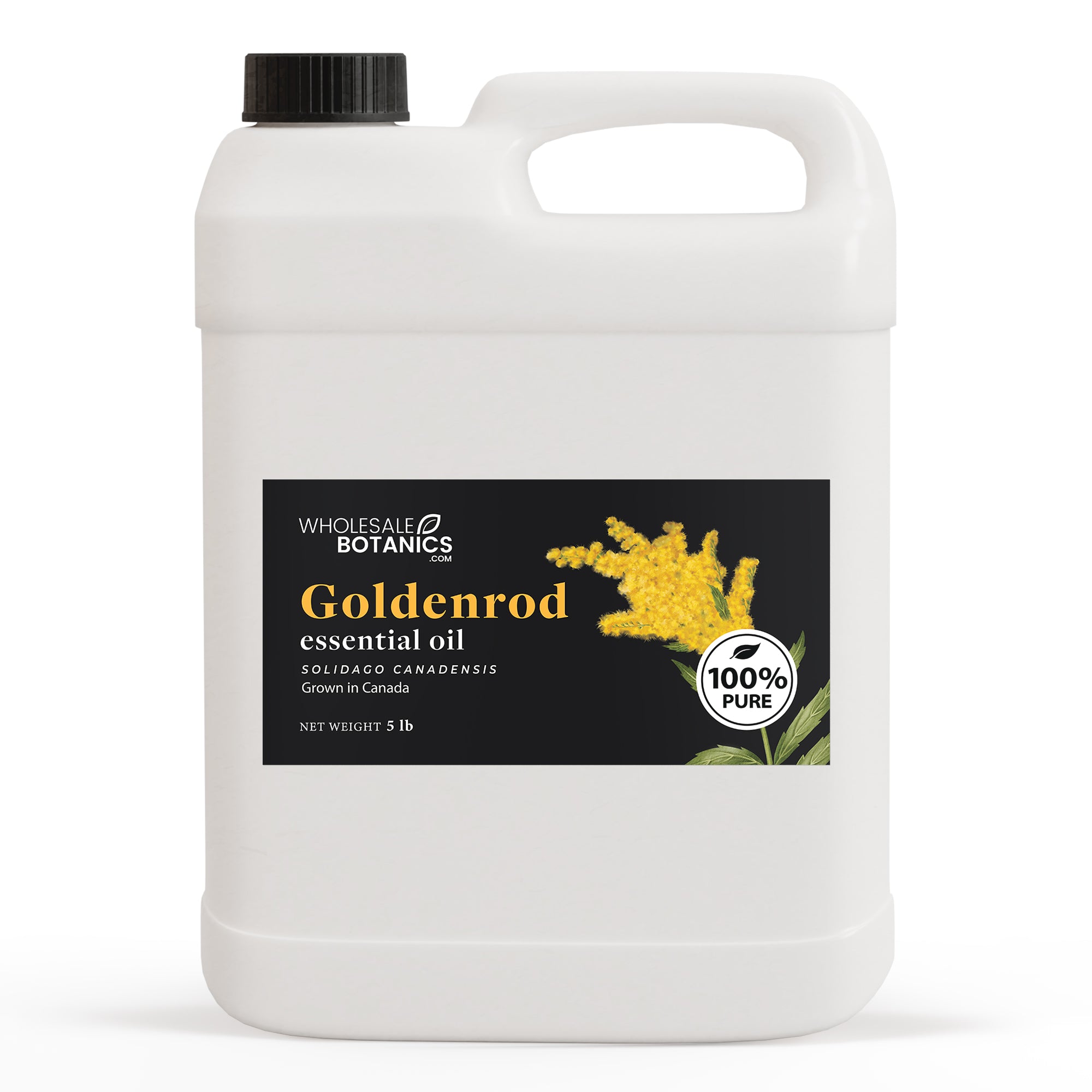 Goldenrod Essential Oil