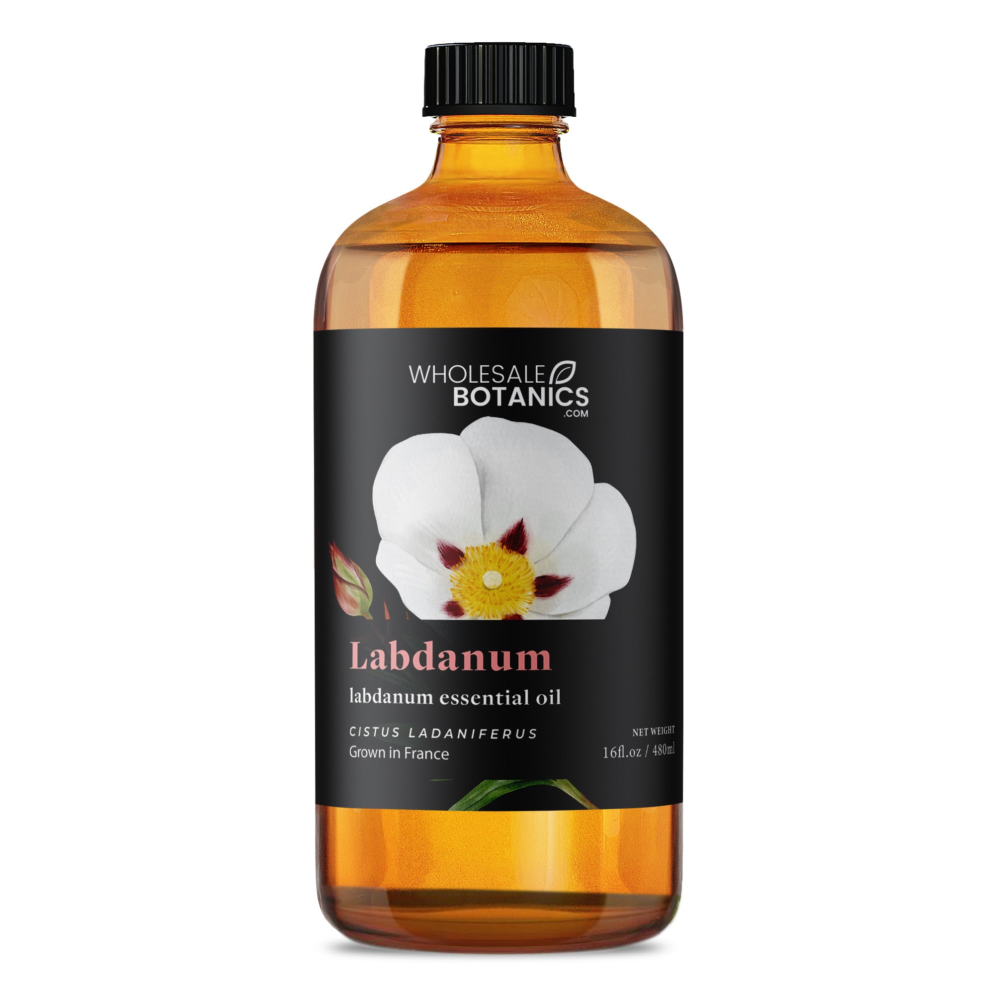 Labdanum Essential Oil — Wholesale Botanics