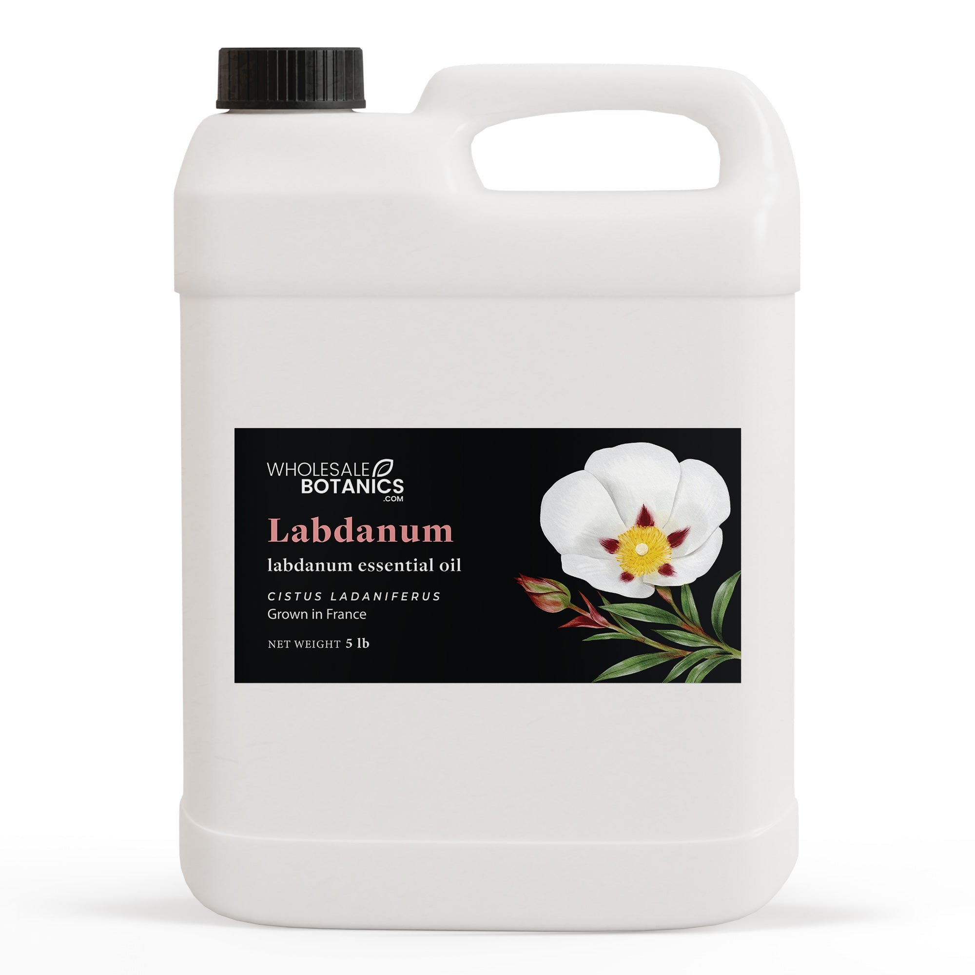 Labdanum Essential Oil