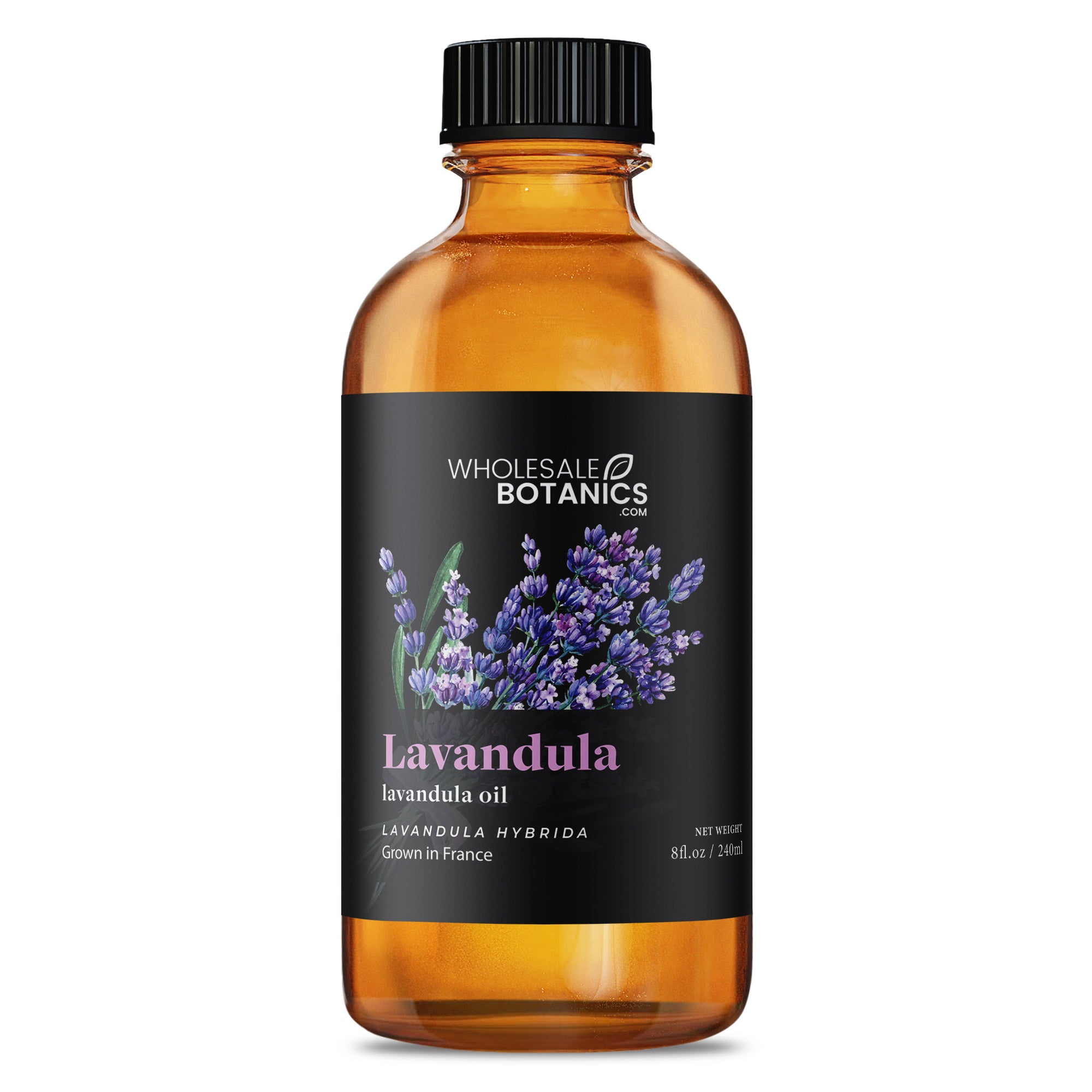 Lavandula Essential Oil