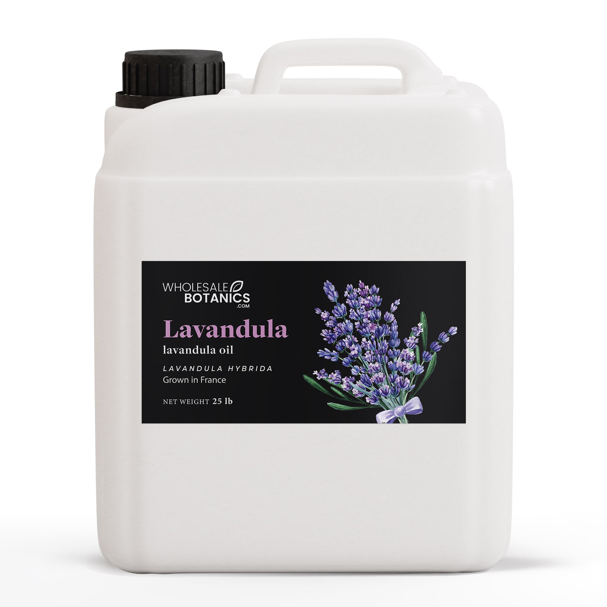 Lavandula Essential Oil