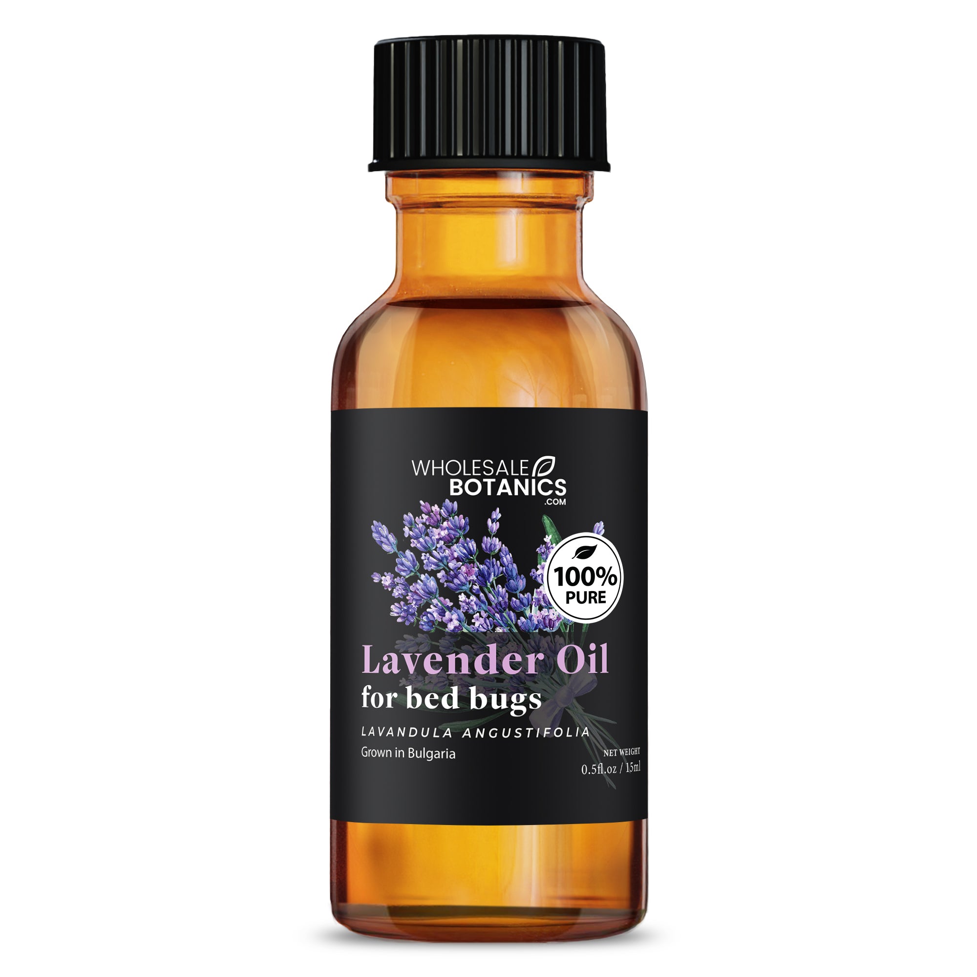 Lavender Oil for Bed Bugs