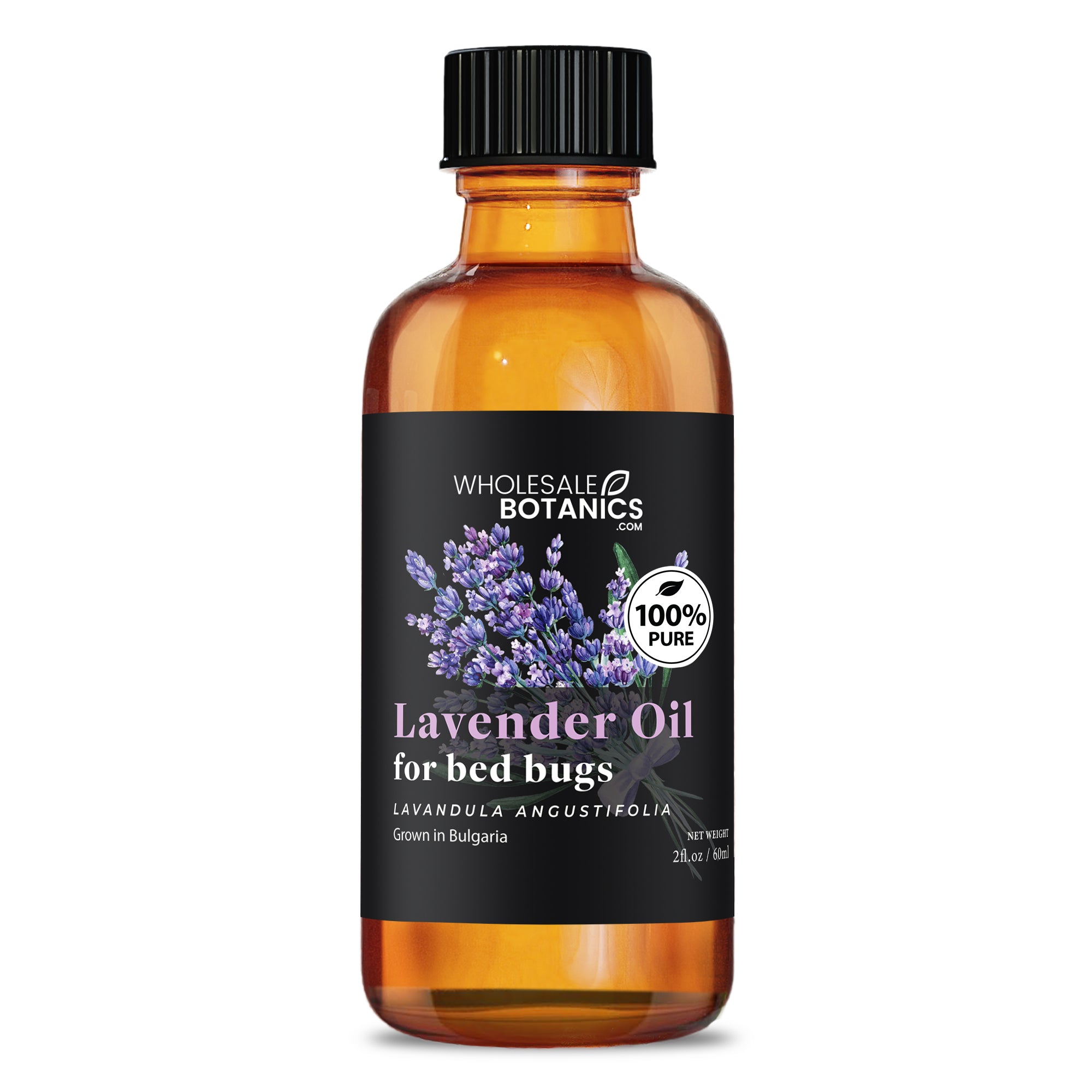 Lavender Oil for Bed Bugs