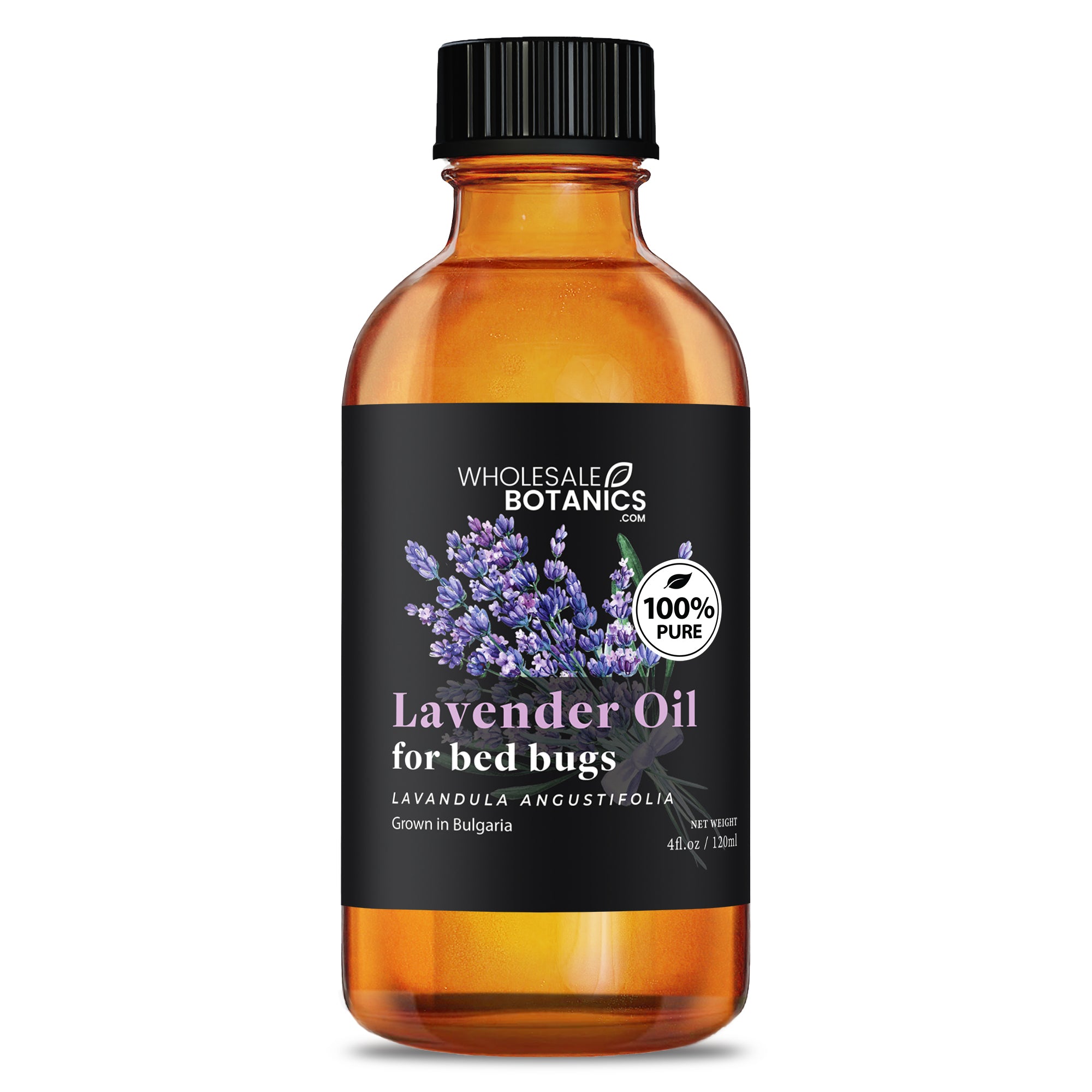 Lavender Oil for Bed Bugs