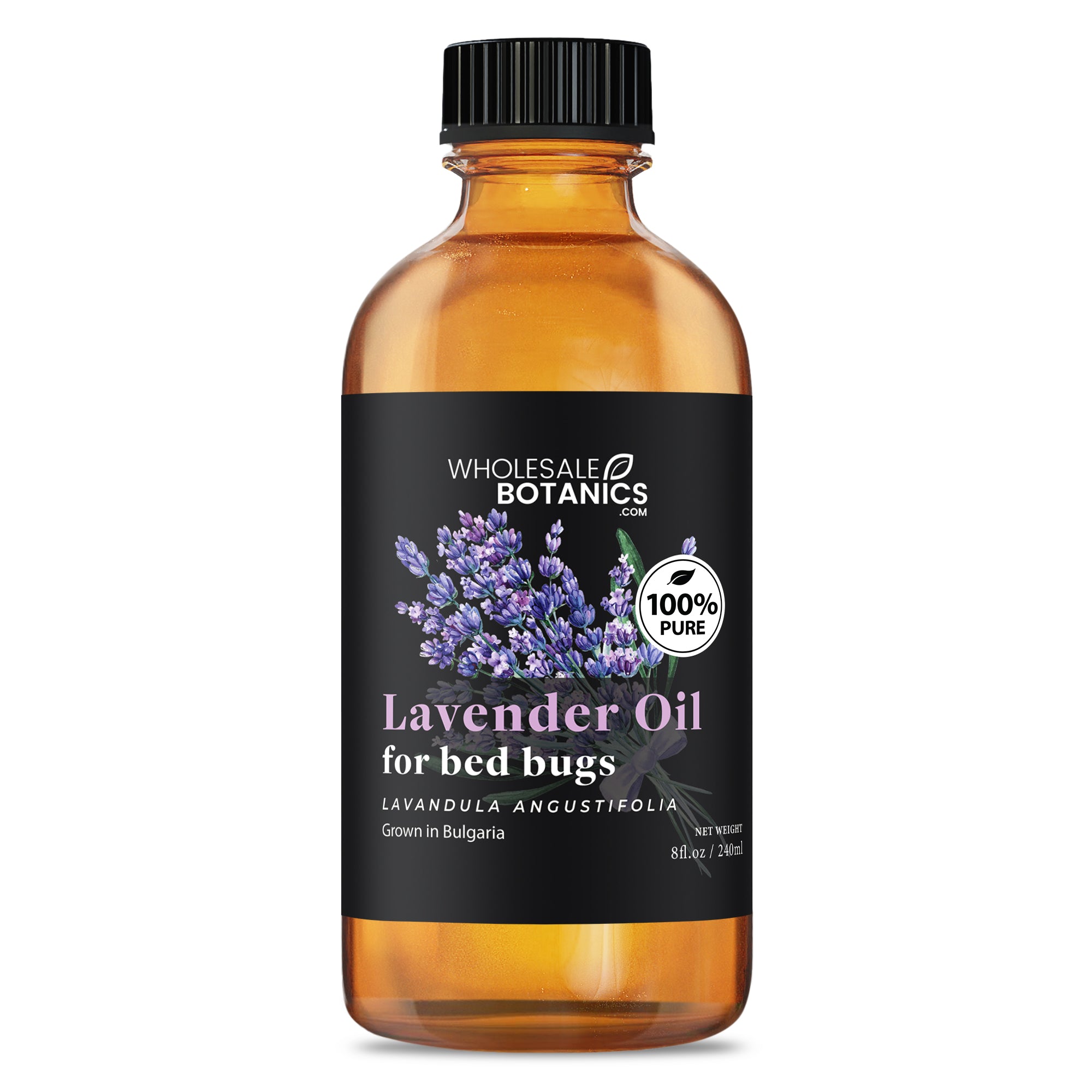 Lavender Oil for Bed Bugs
