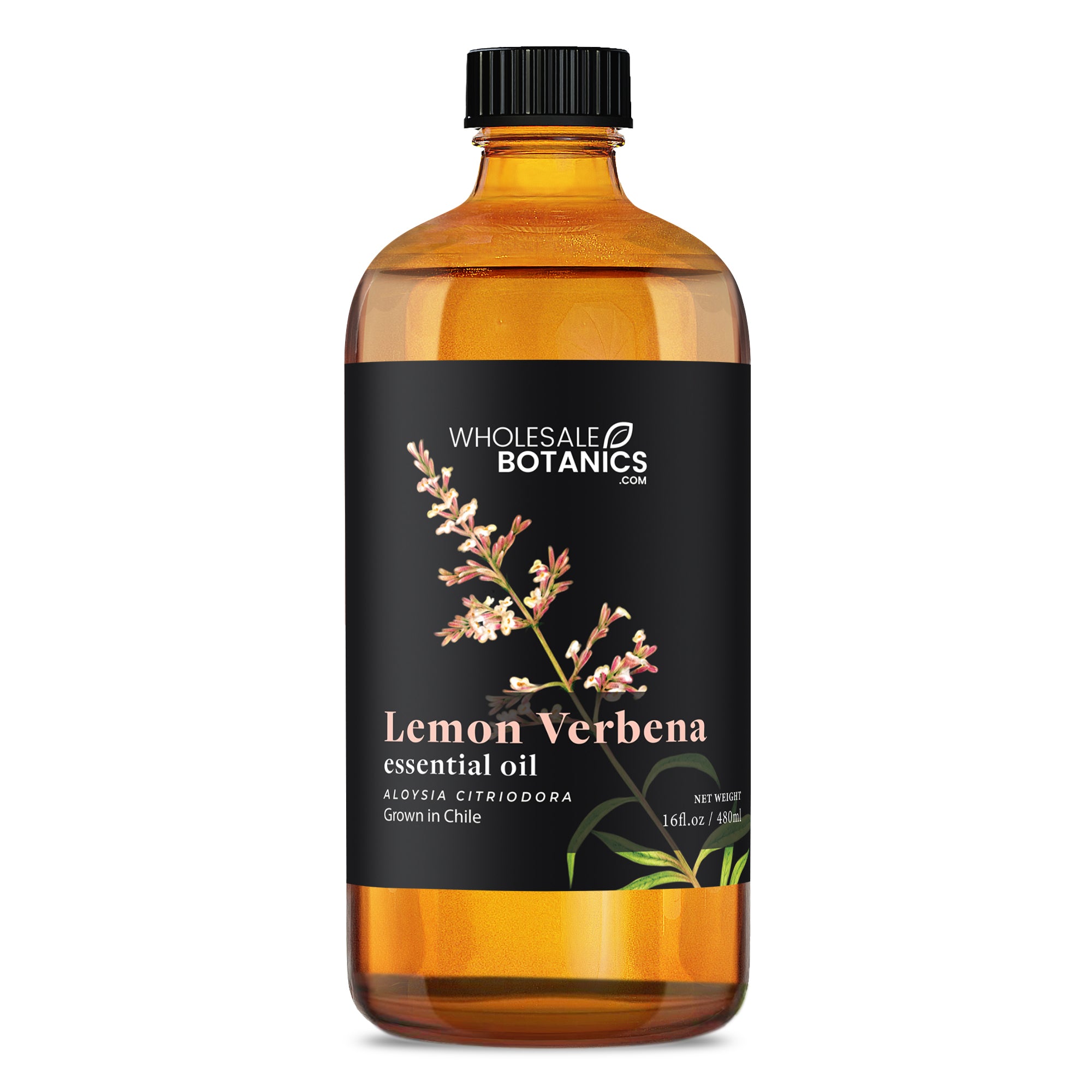 Lemon Verbena Essential Oil