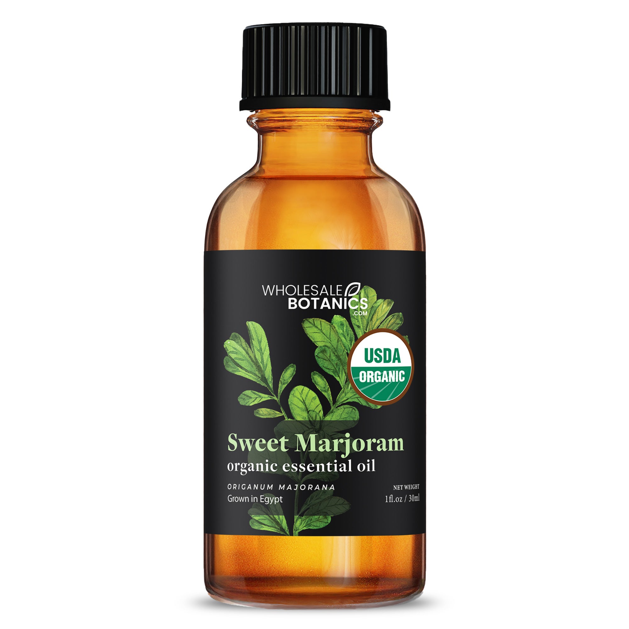 Organic Marjoram (Sweet) Essential Oil