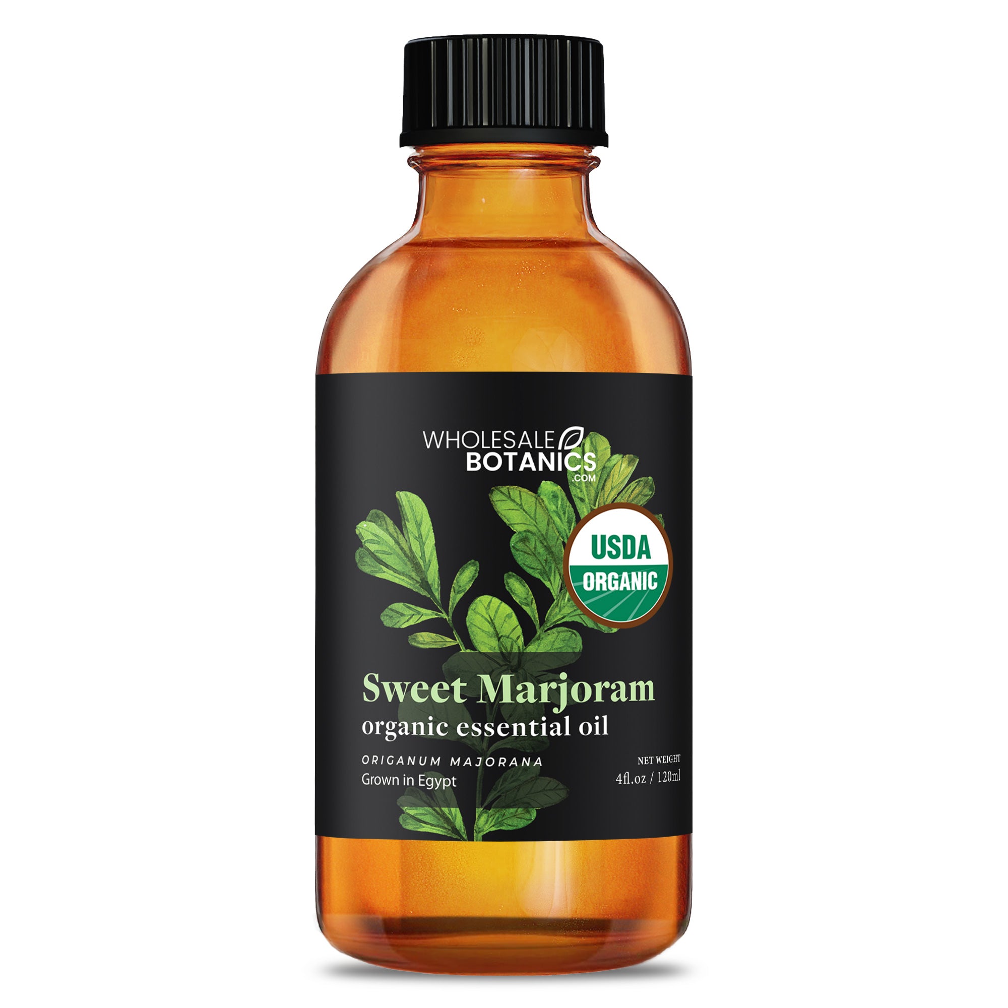 Organic Marjoram (Sweet) Essential Oil