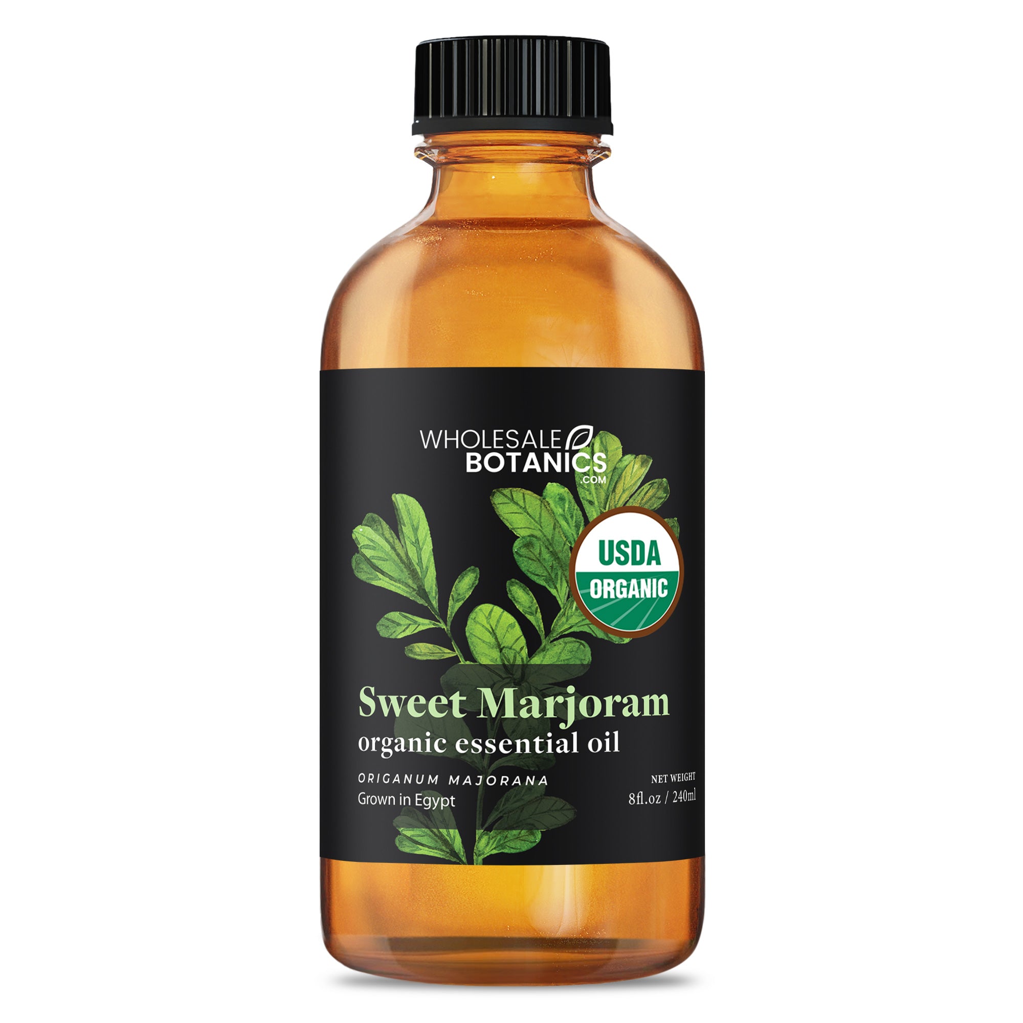 Organic Marjoram (Sweet) Essential Oil