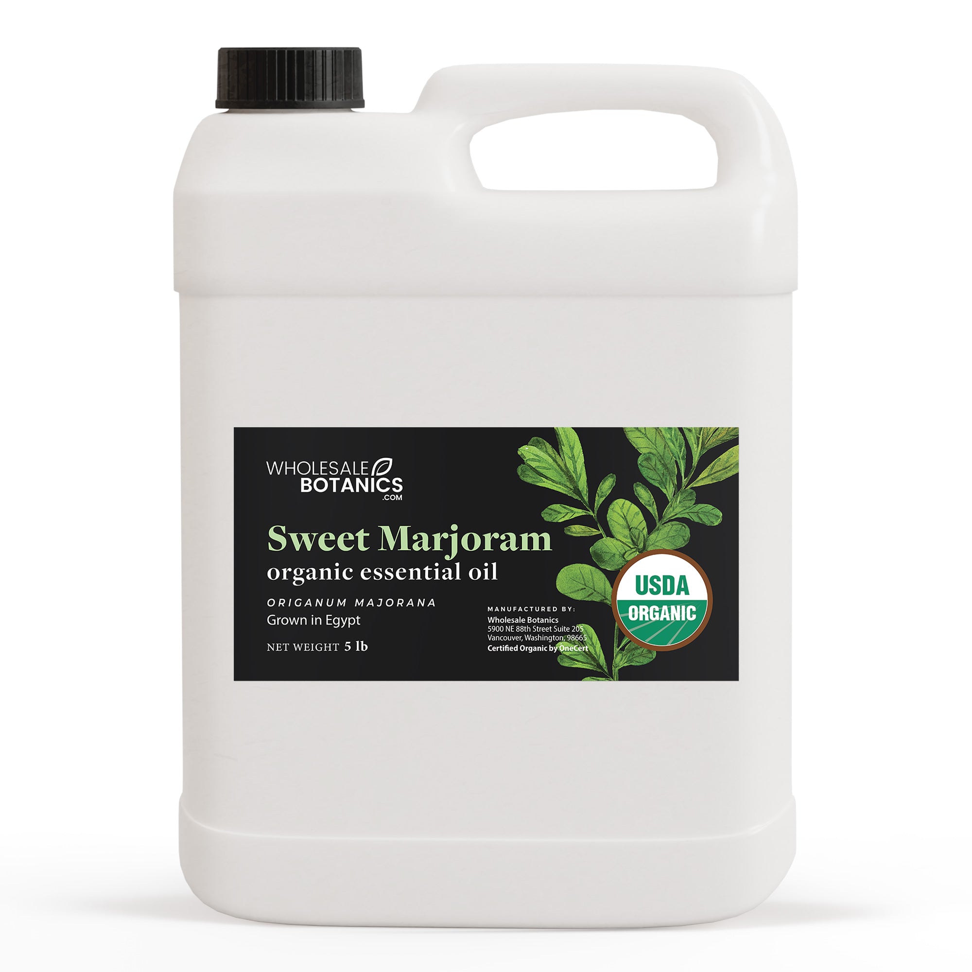 Organic Marjoram (Sweet) Essential Oil