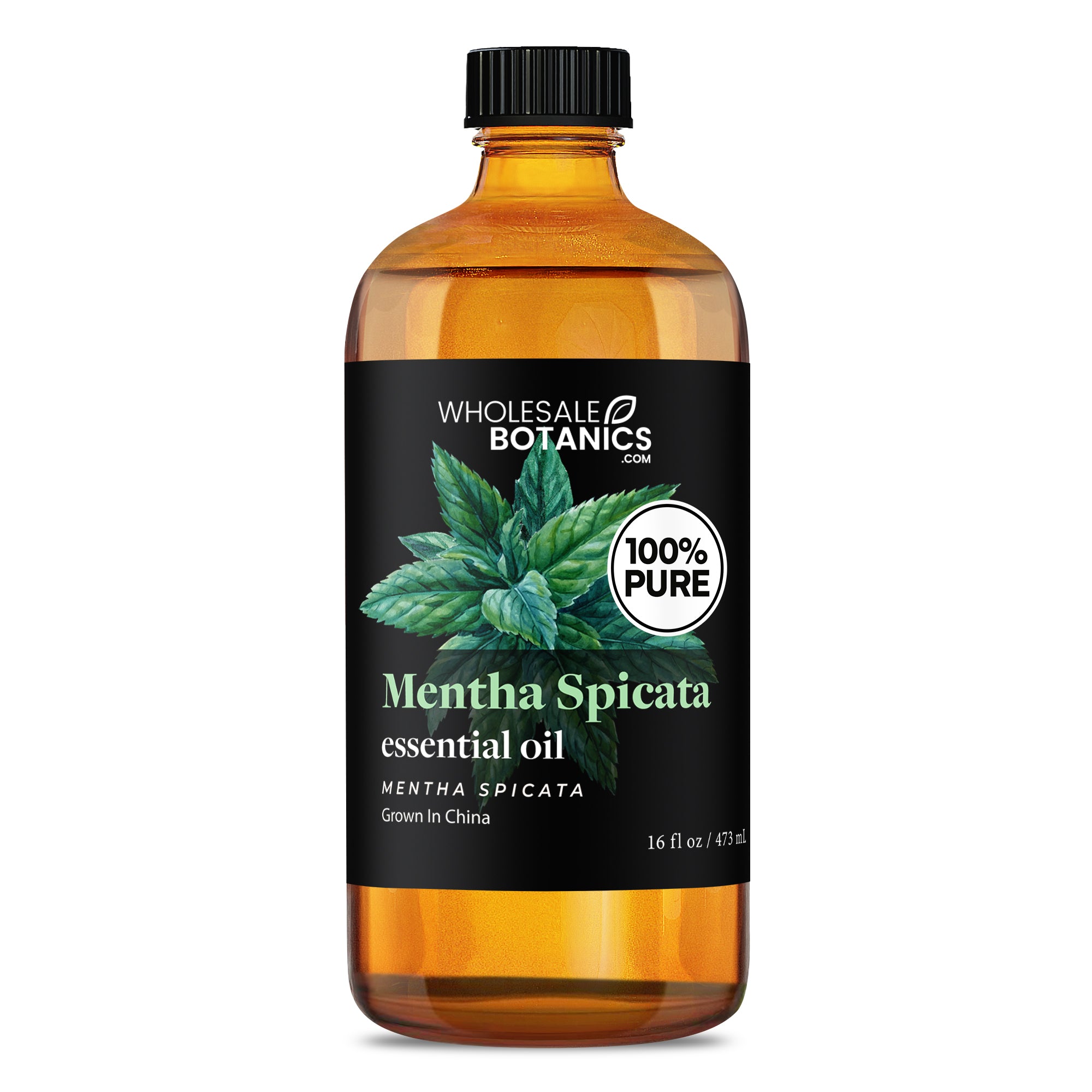 Mentha Spicata Essential Oil