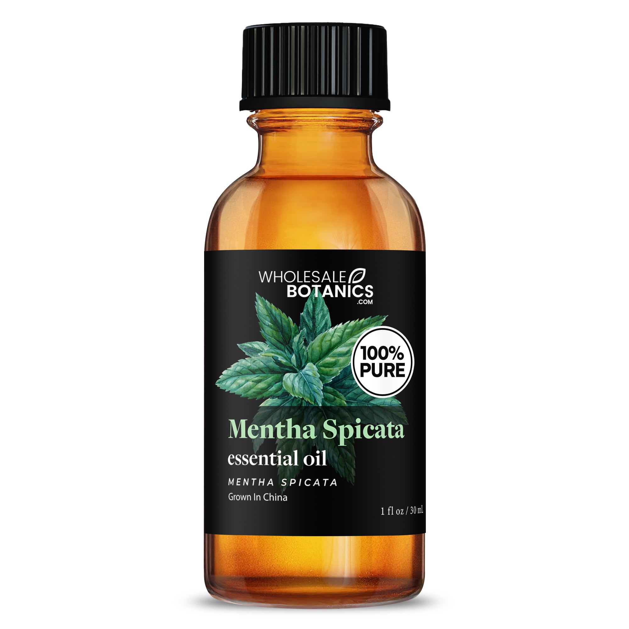 Mentha Spicata Essential Oil