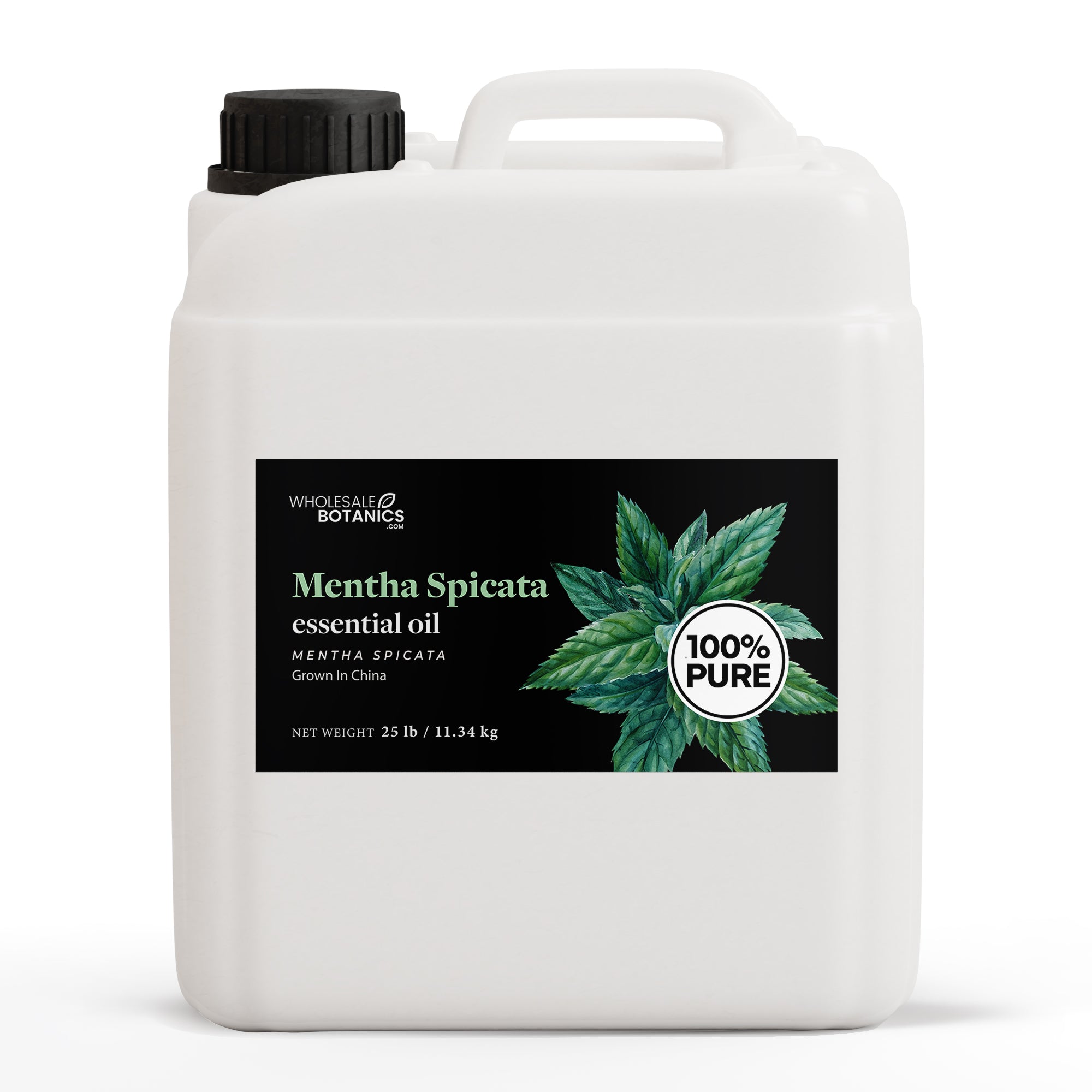 Mentha Spicata Essential Oil